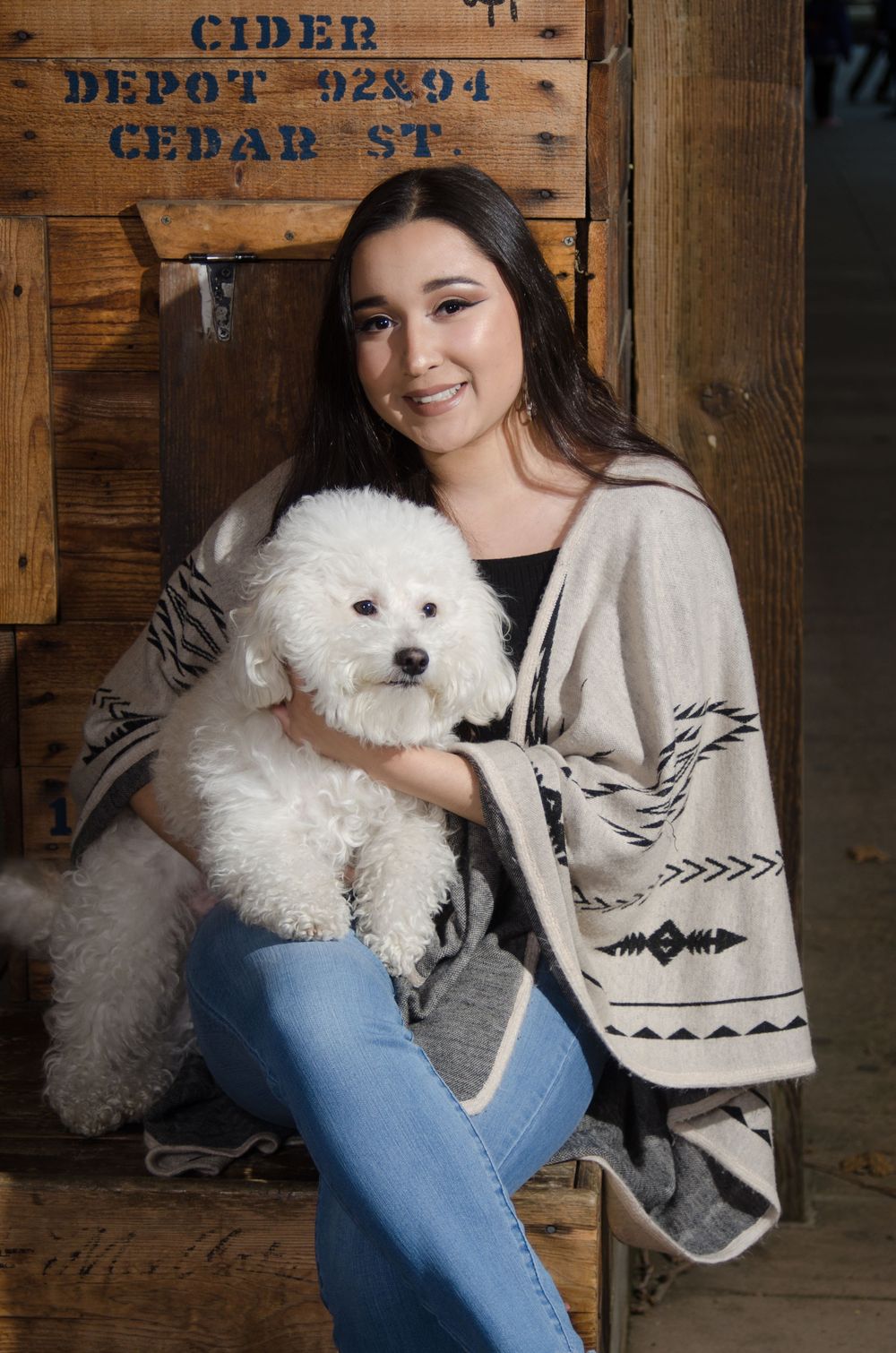 A fluffy white Bichon Frise dog sits on someone's lap against a rustic wooden wall with vintage cider signage.