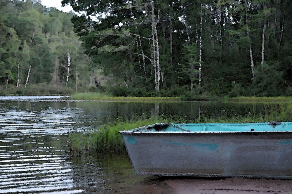 Camp one lake Camp Northwoods Northern Wisconsin 
Mason, Wisconsin
Rowboat