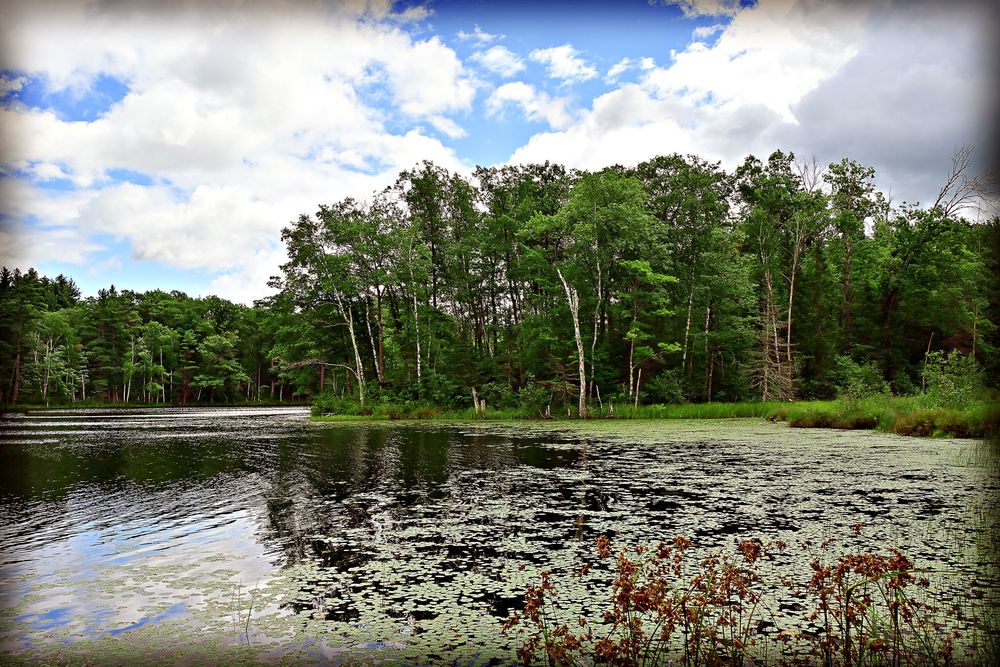 Camp one lake
 Camp Northwoods Mason Wisconsin