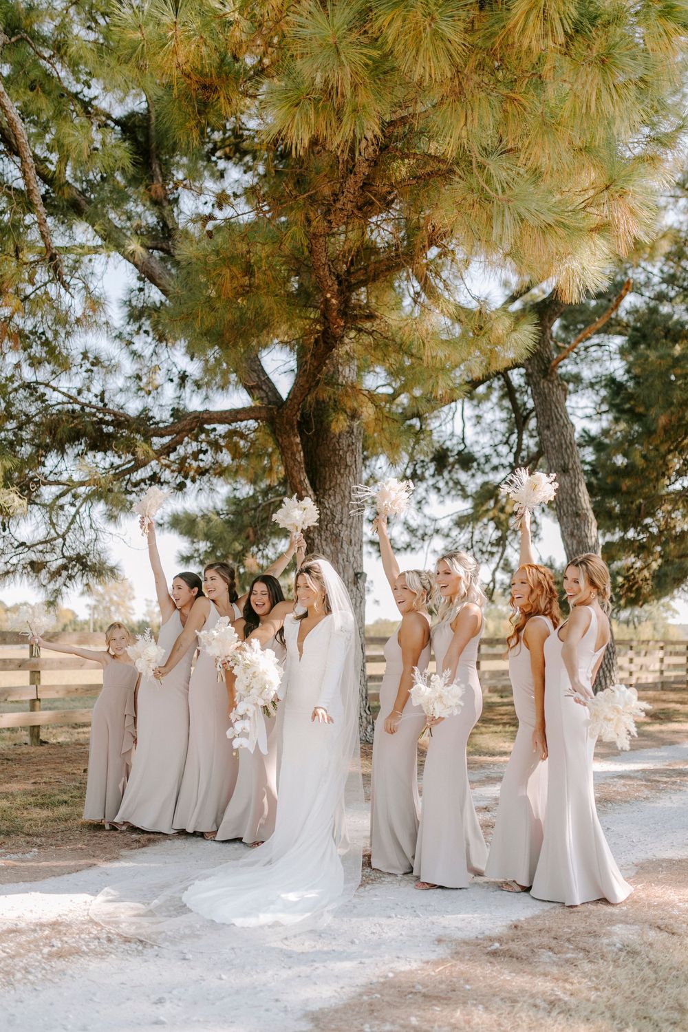 Wedding party in neutral beige dresses poses together under sunlit pine trees in a scenic outdoor setting.