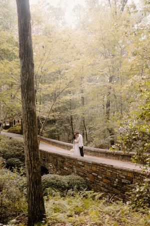 A series of misty forest scenes showing a wooden footbridge winding through autumn trees in a dreamy atmosphere.