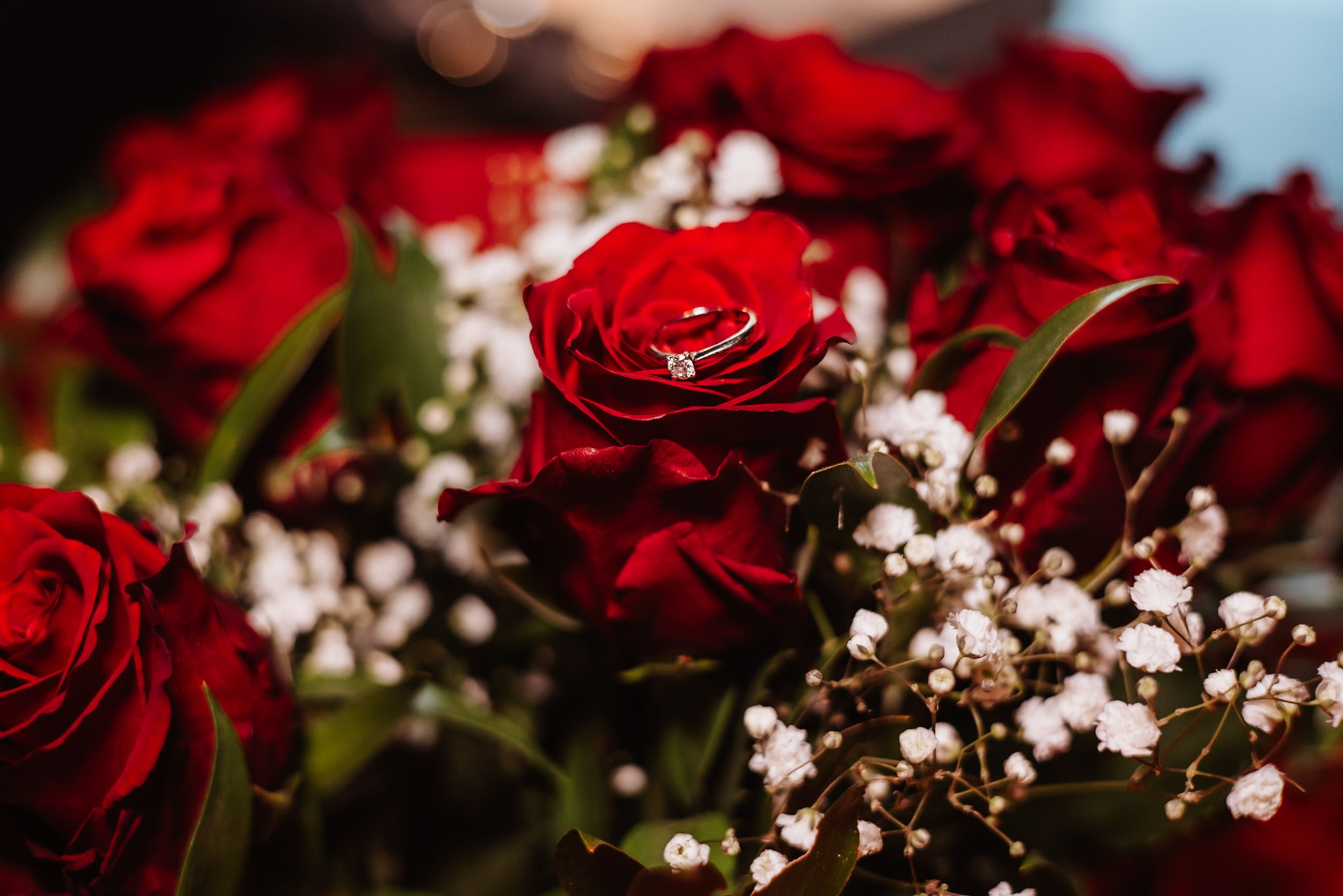 Deep red roses with delicate white baby's breath flowers create a romantic floral arrangement.