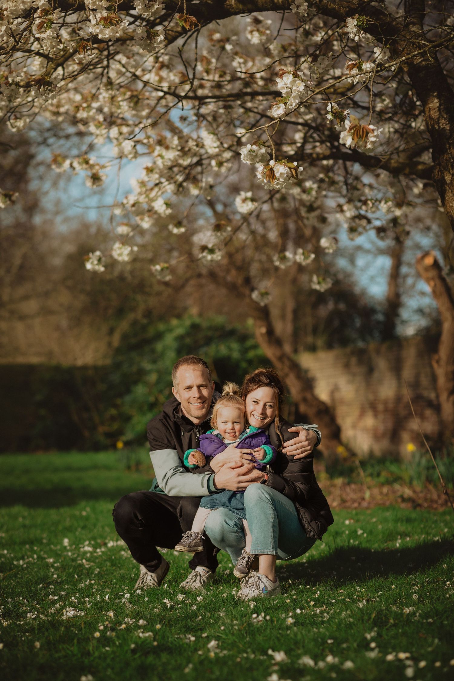 Family holds hands with small child leaping on dirt path under blooming spring trees in park.
