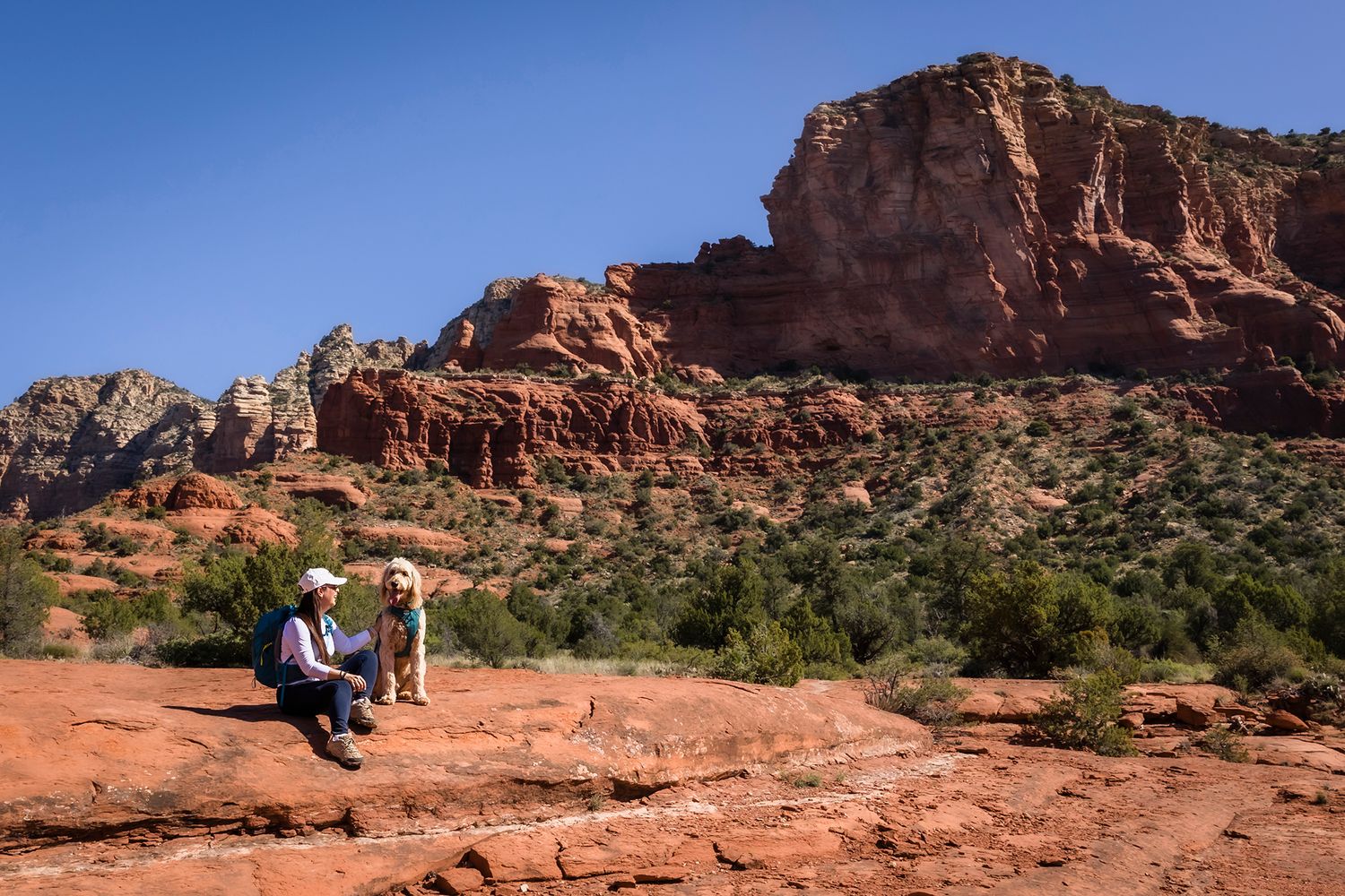 A person and their golden retriever dog enjoying a hike together on a desert trail surrounded by cacti and desert plants.