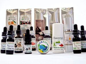 Row of various CBD and essential oil tincture bottles with droppers displayed on white background.