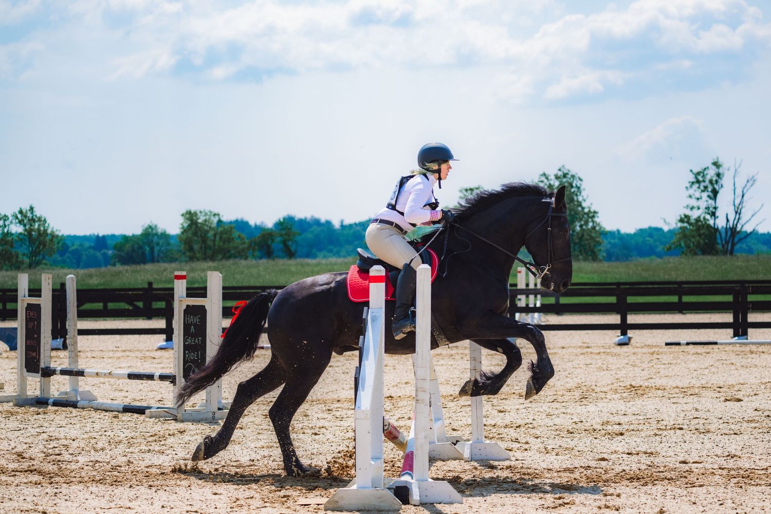 a black horse and rider jump