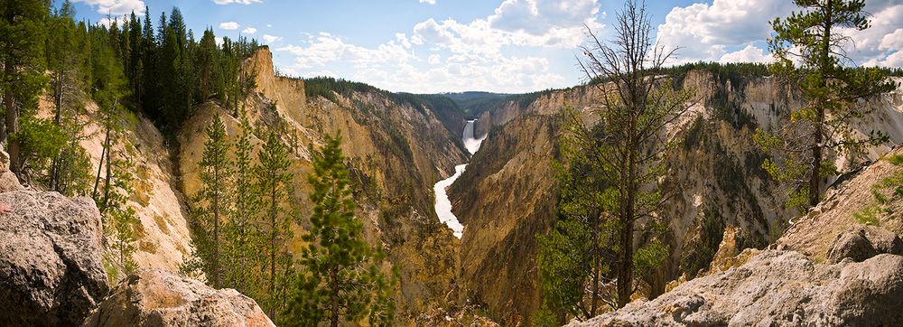 Panoramic view of the Grand Canyon of Yellowstone with towering cliffs and a winding river below in Wyoming.