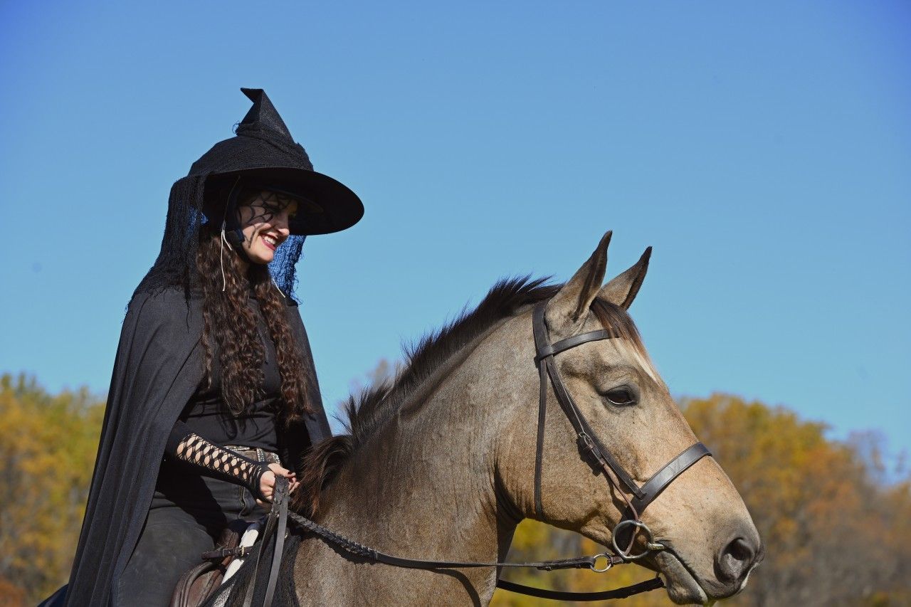 a buckskin horse and rider, the rider is in a witch hat