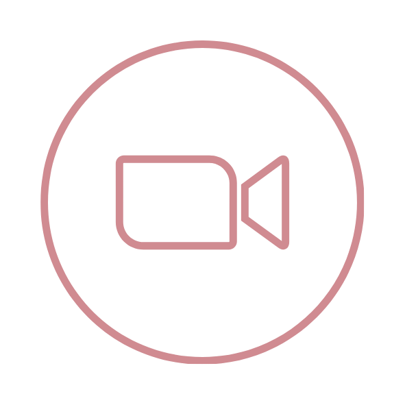 icon videocall