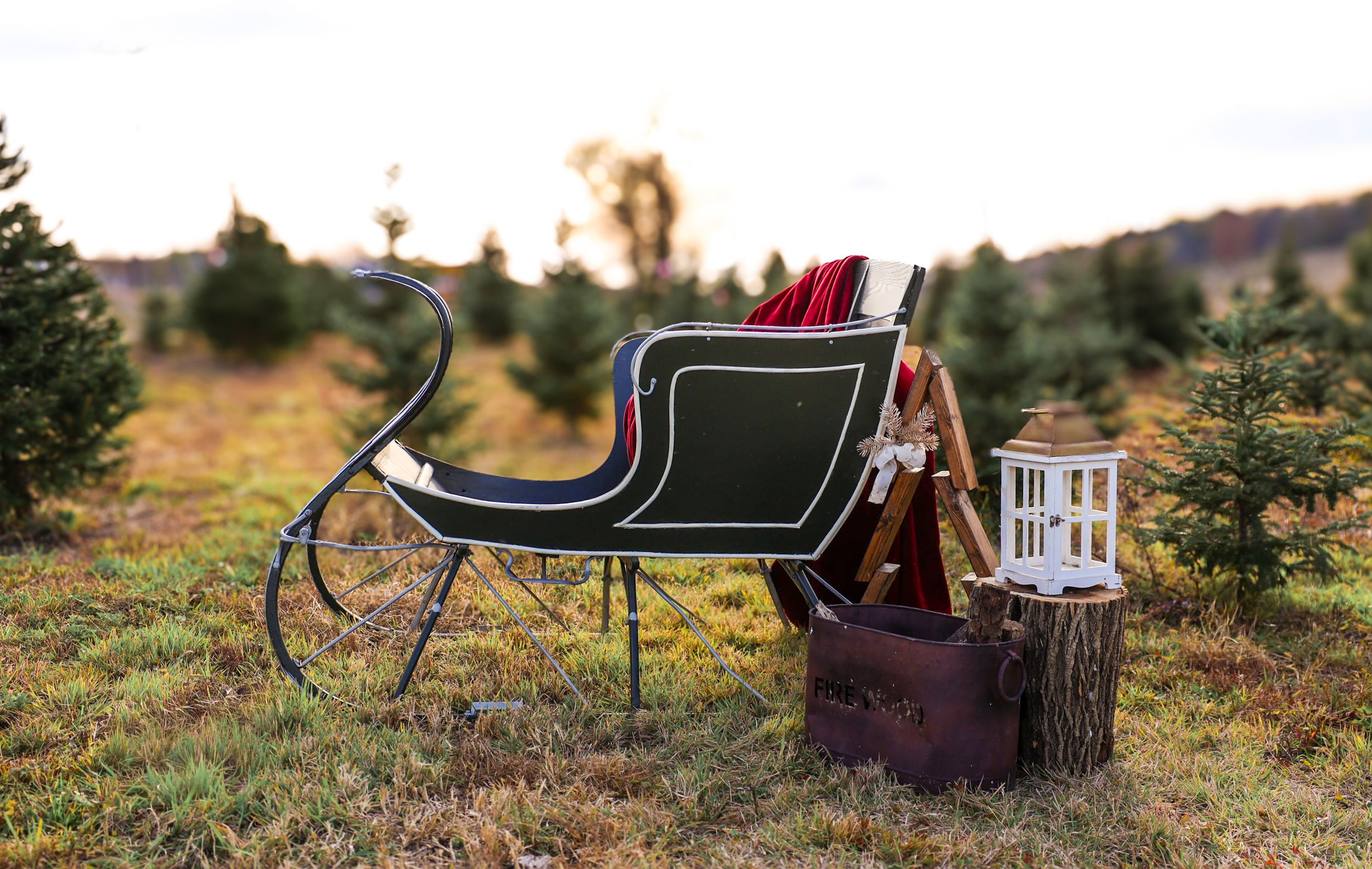 Rustic outdoor holiday scene with decorative sleigh and natural landscape.