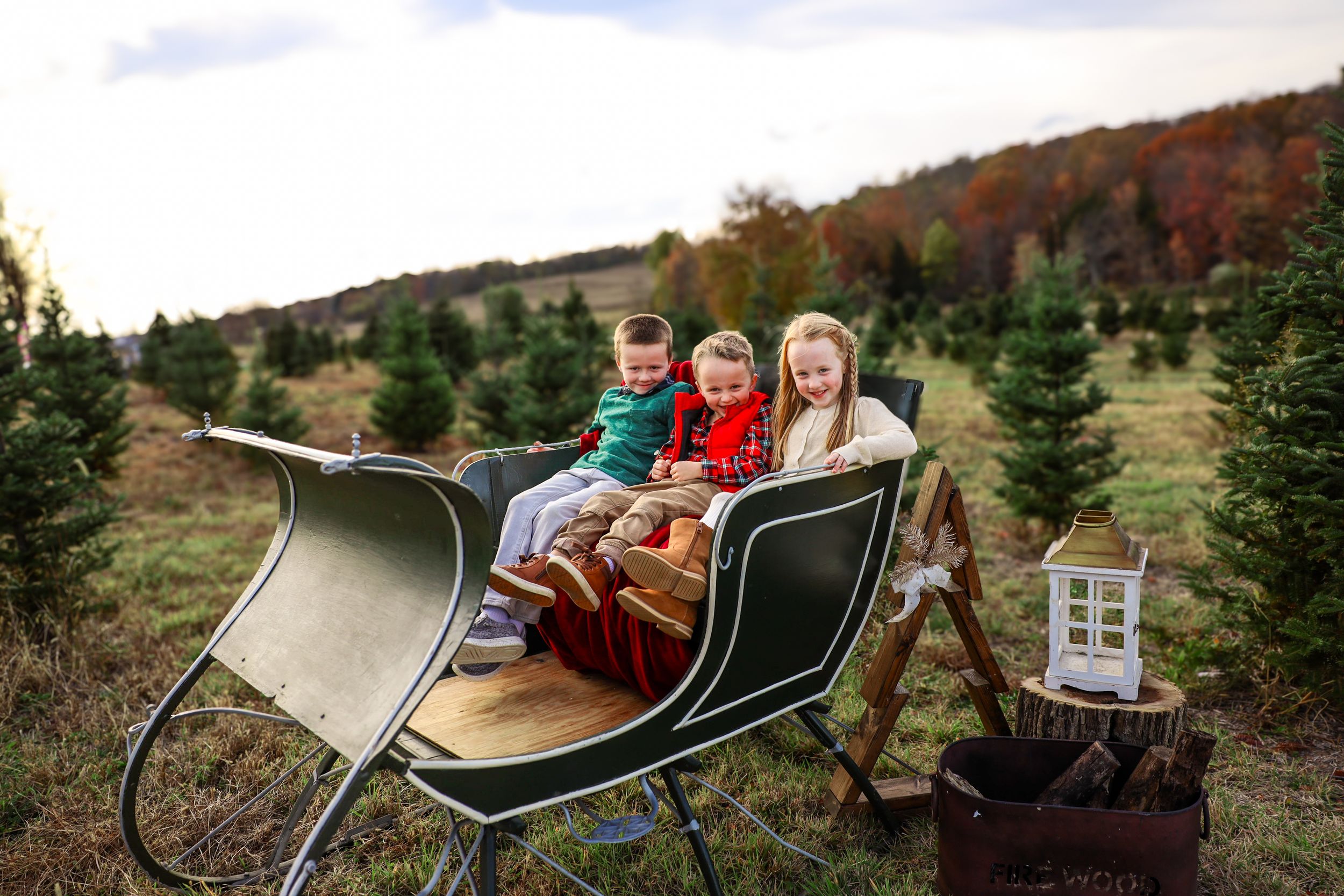 Children sitting in a vintage sleigh at a Christmas tree farm during autumn with colorful fall foliage in background.