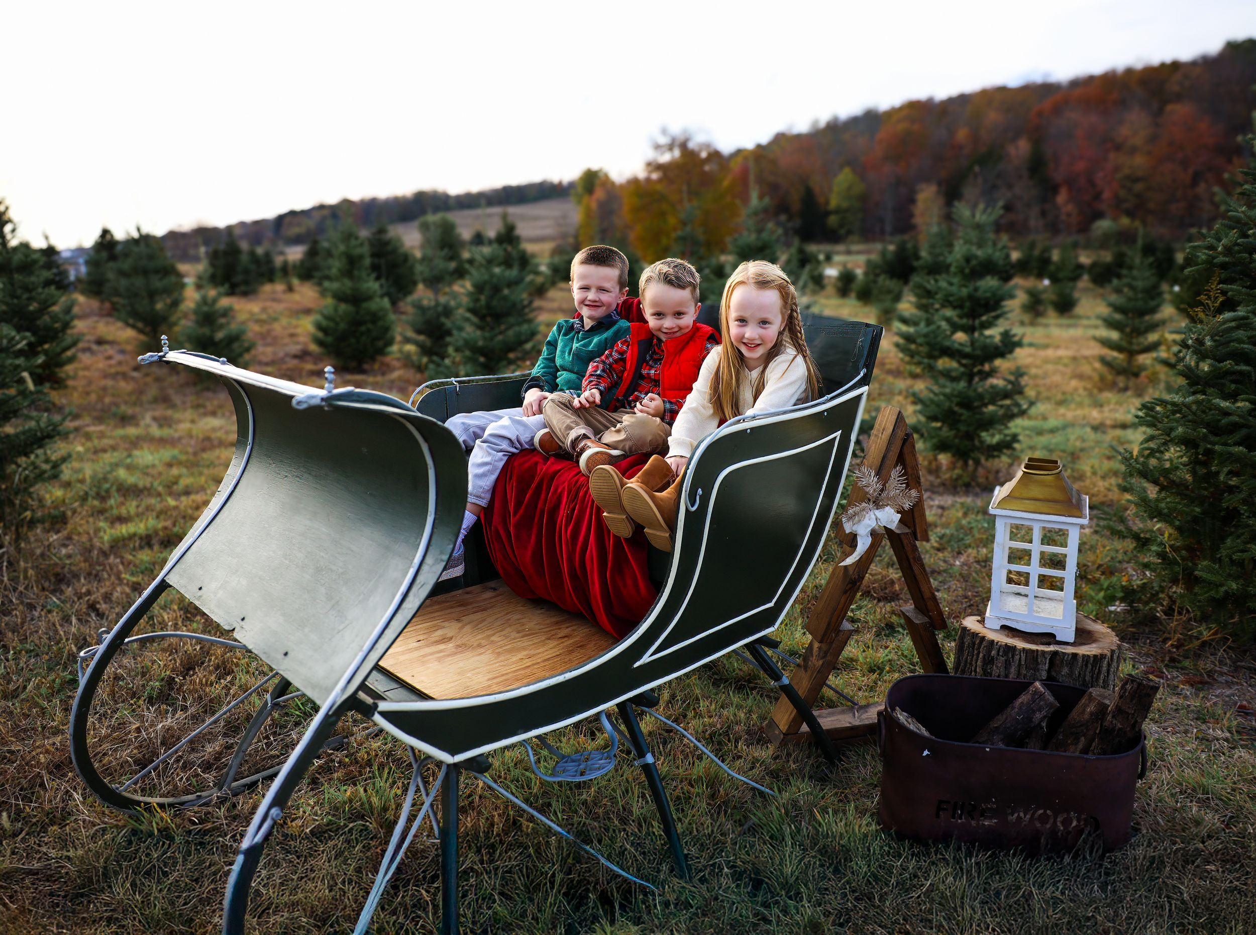 Festive holiday photo of children sitting in a vintage sleigh surrounded by evergreen trees and autumn colors.