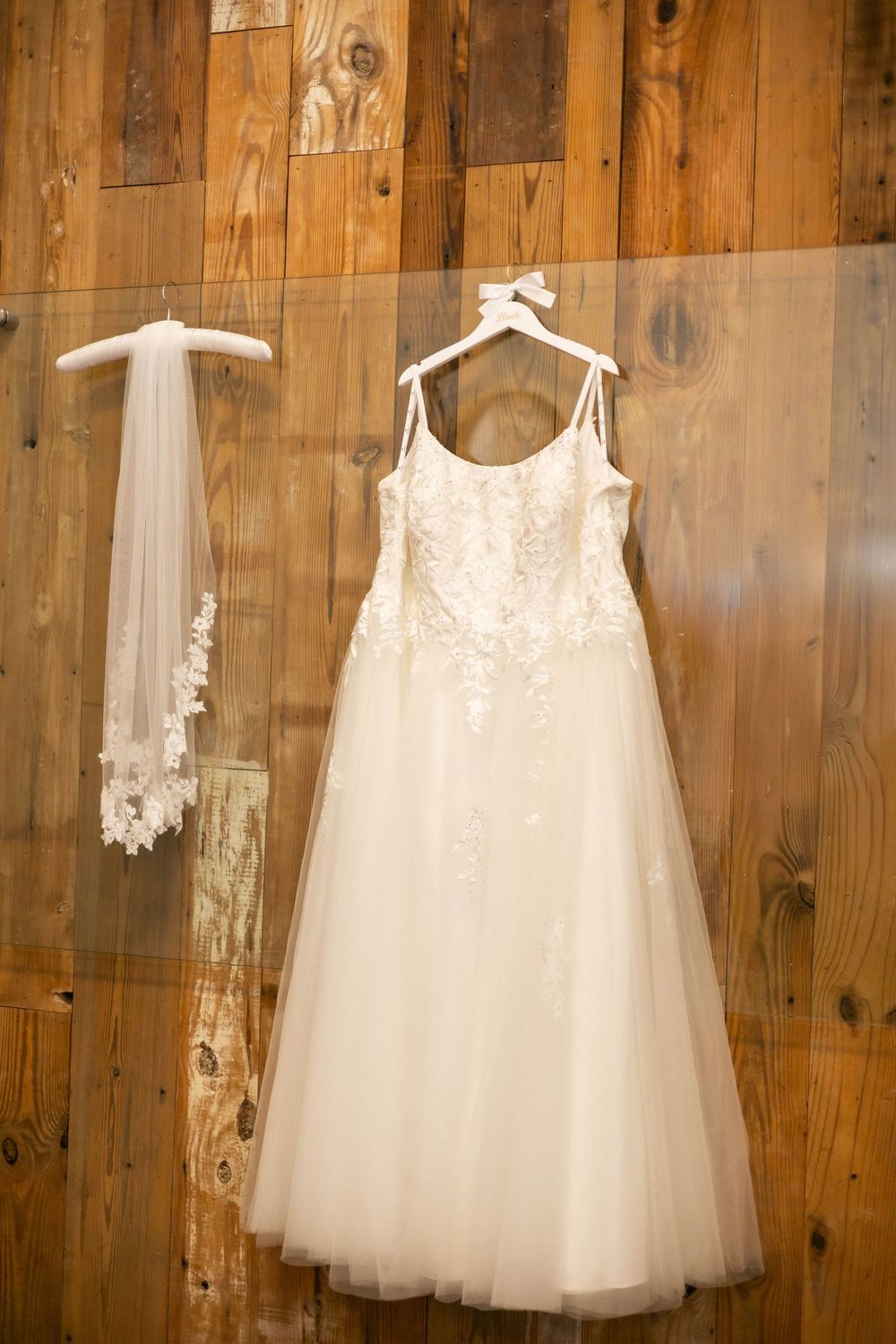 Wedding dress and wedding veil detail photos in Springfield, Illinois