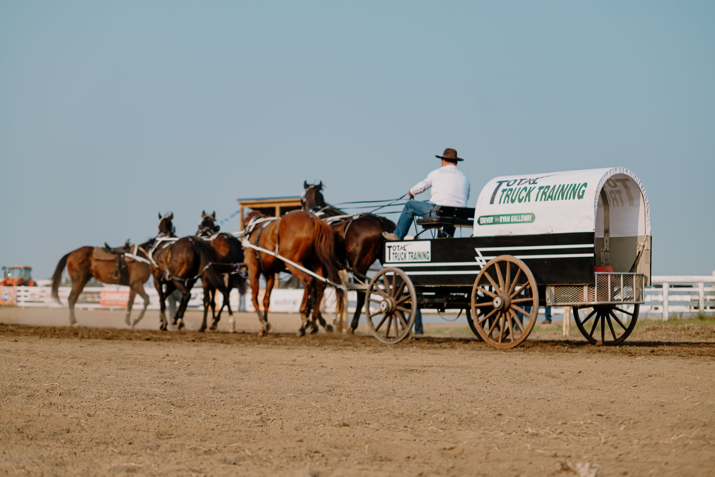 A panoramic view shows a line of draft horses hitched to wagons at a rural farm event.