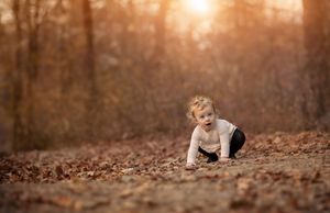 A dog plays and rolls in a pile of fallen autumn leaves during a golden sunset.