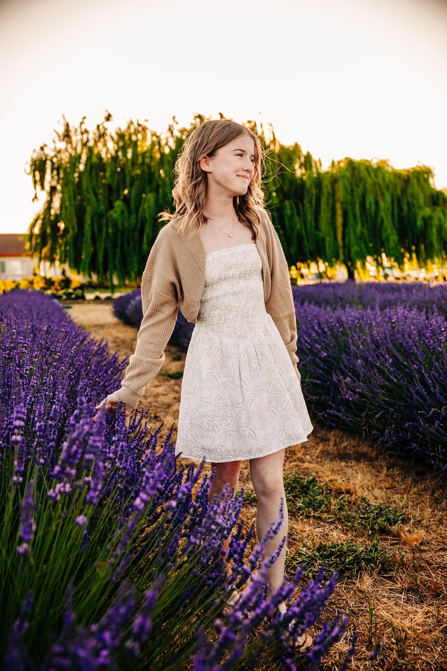 A series of sunset photos in a lavender field with a white dress and warm golden light.