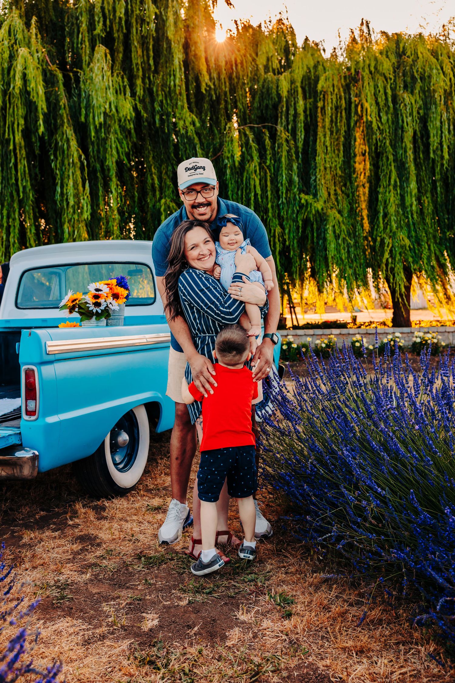 A classic light blue vintage pickup truck parked among blooming purple lavender fields at sunset with willow trees in background.