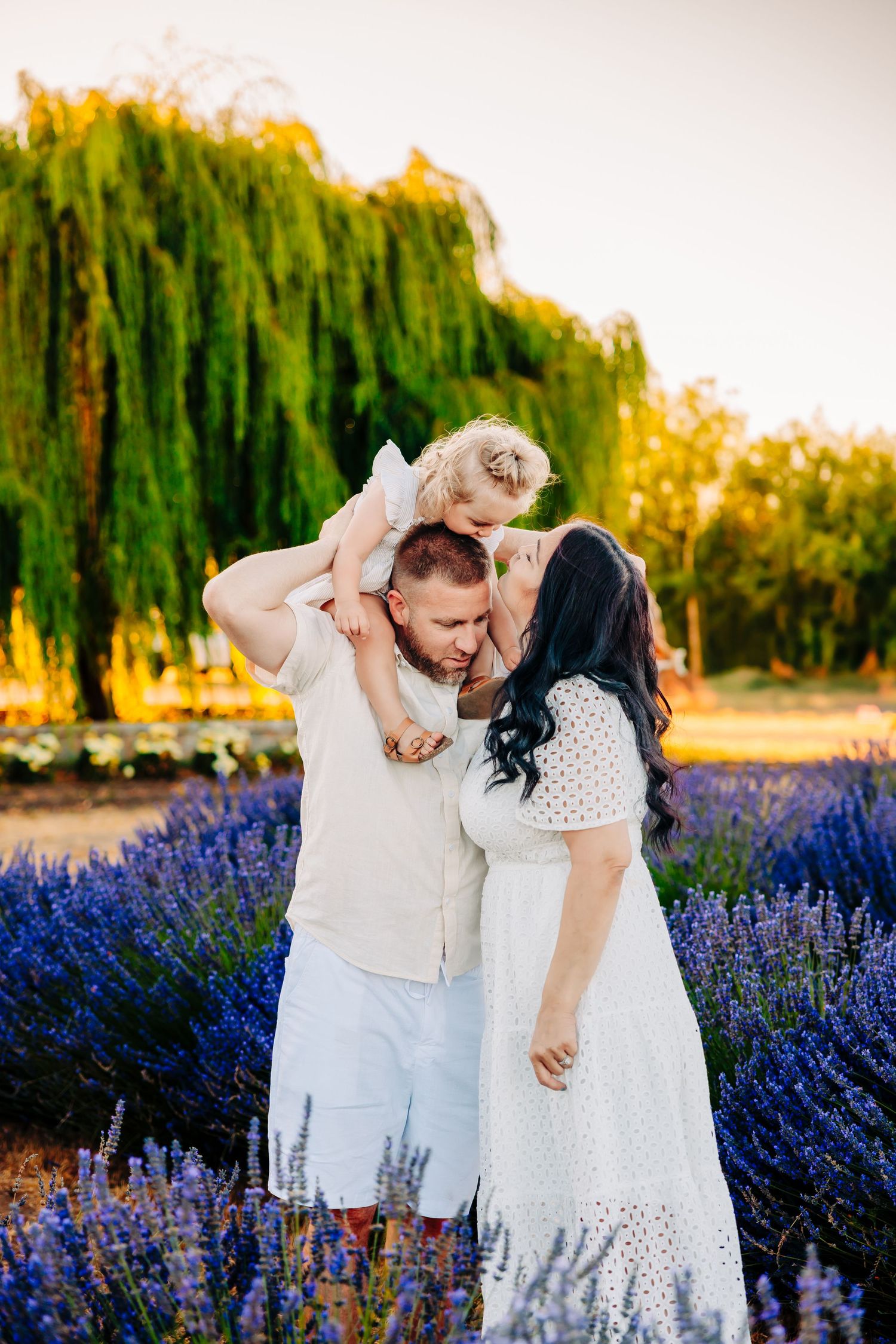 A couple shares tender moments in a blooming purple lavender field at sunset with willow trees in the background.