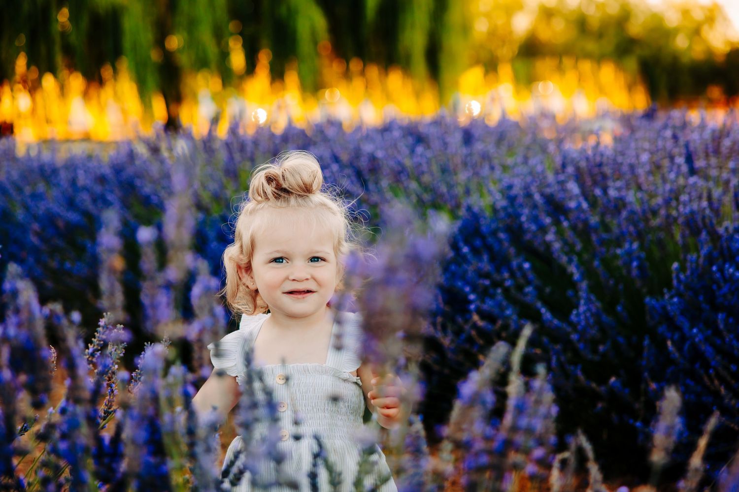 A series of sunset portraits in a blooming lavender field with golden light filtering through the purple flowers.