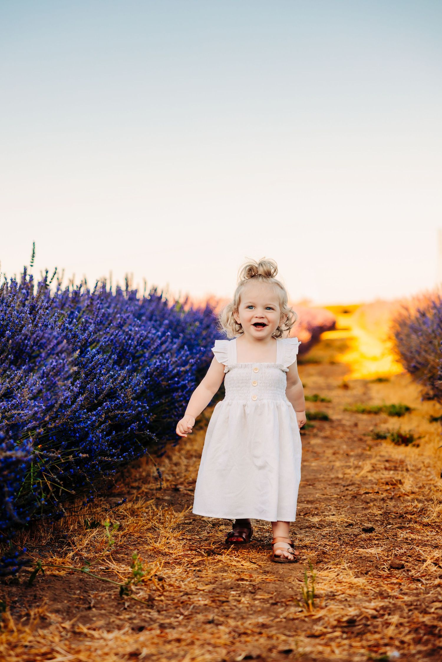 A child in a white dress plays among blooming purple lavender fields at sunset.