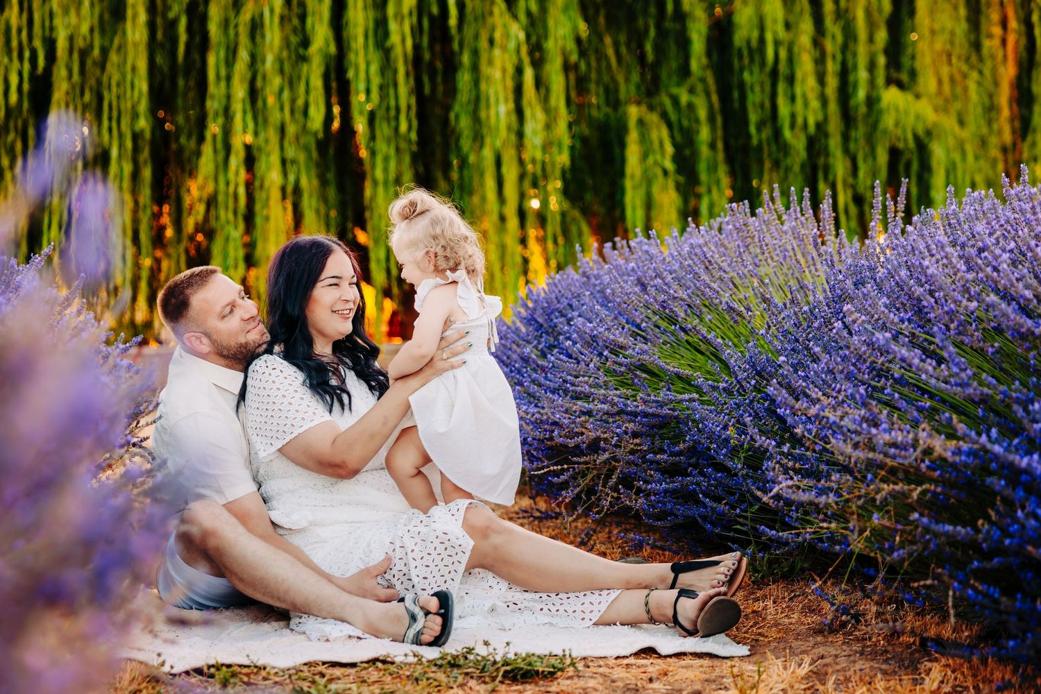 A couple relaxes in a vibrant lavender field during sunset, creating a romantic outdoor scene.