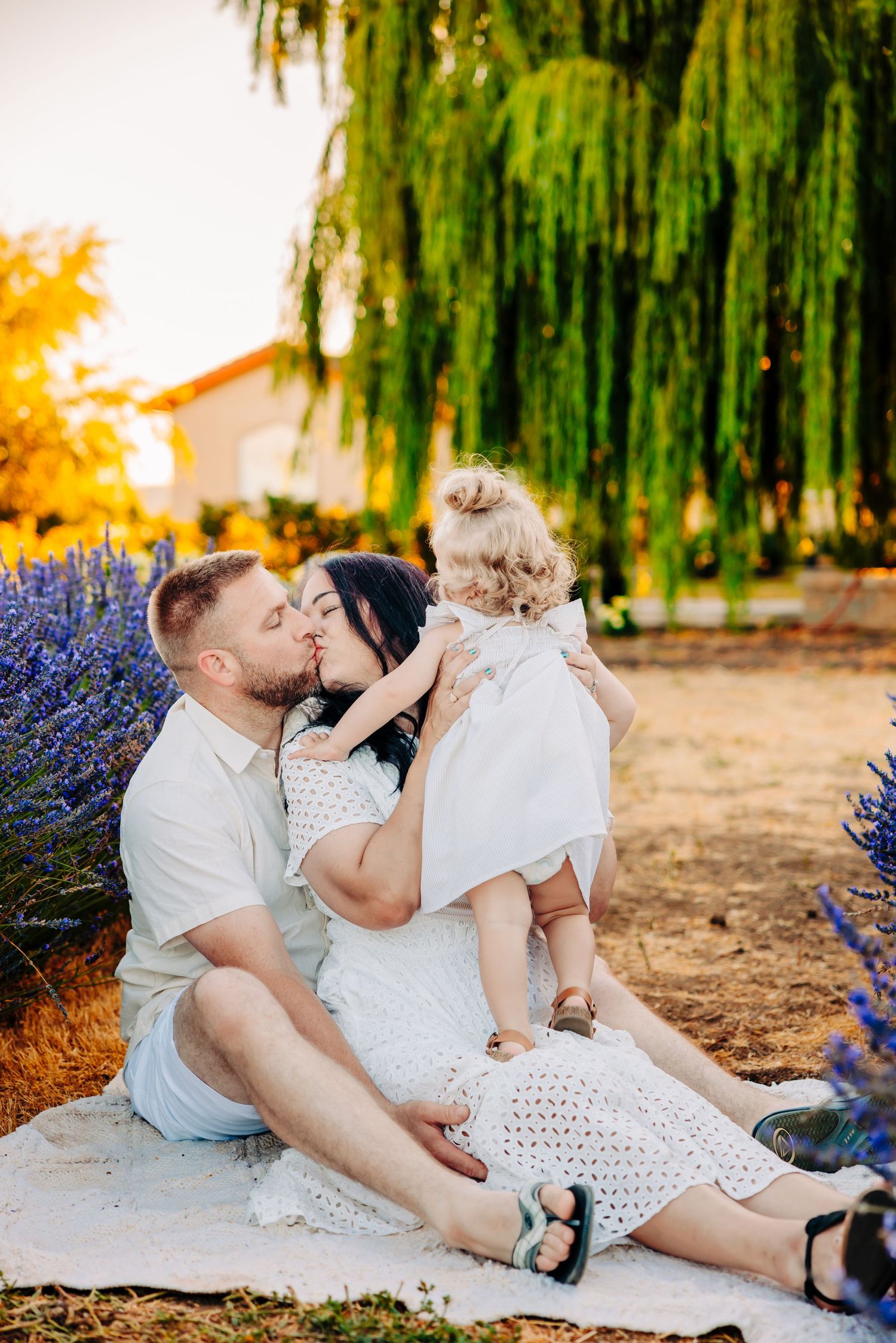 Family enjoying a tender moment together on a blanket near blooming lavender and a weeping willow tree at sunset.