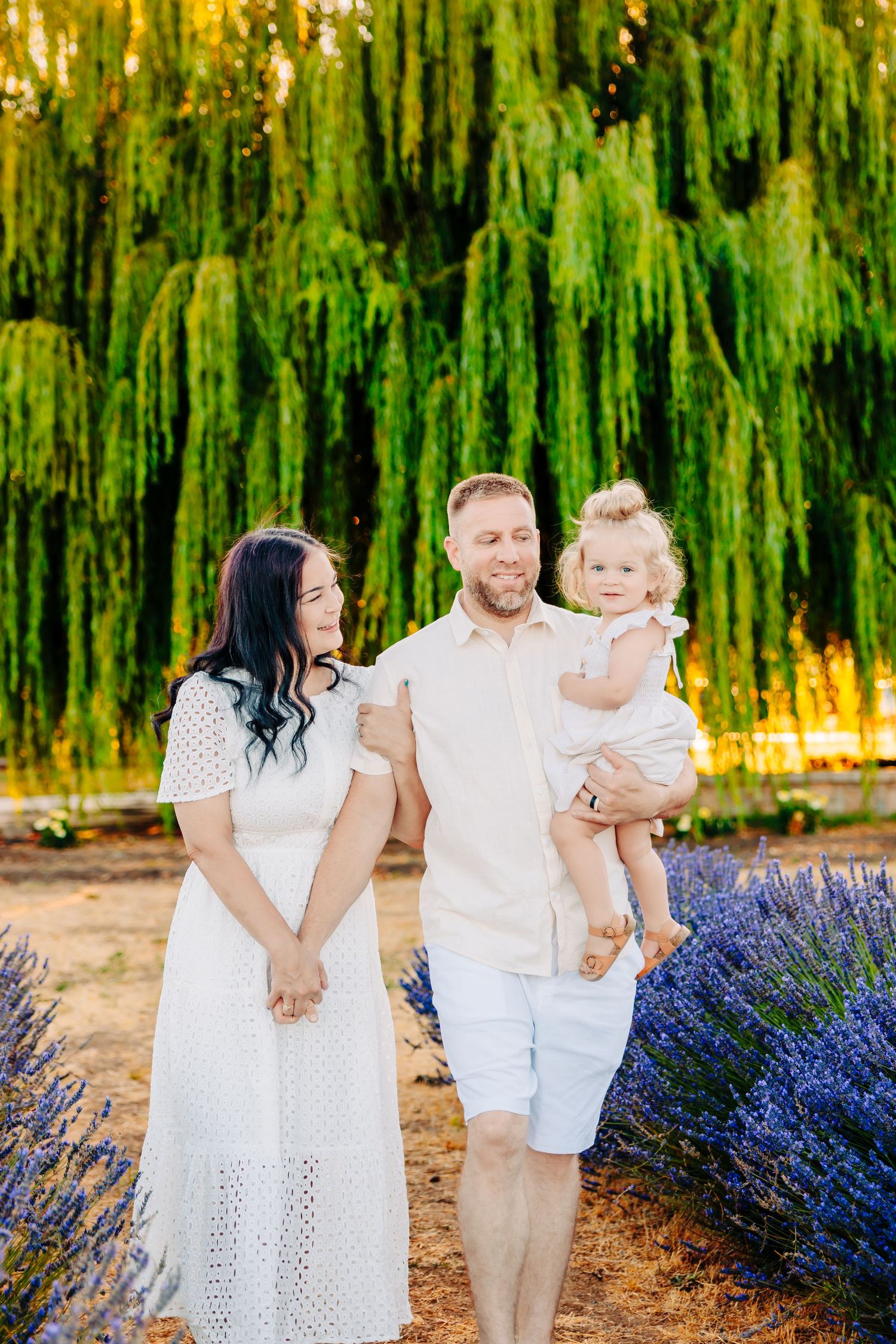 A family wearing white outfits poses together near blooming purple lavender flowers at sunset.