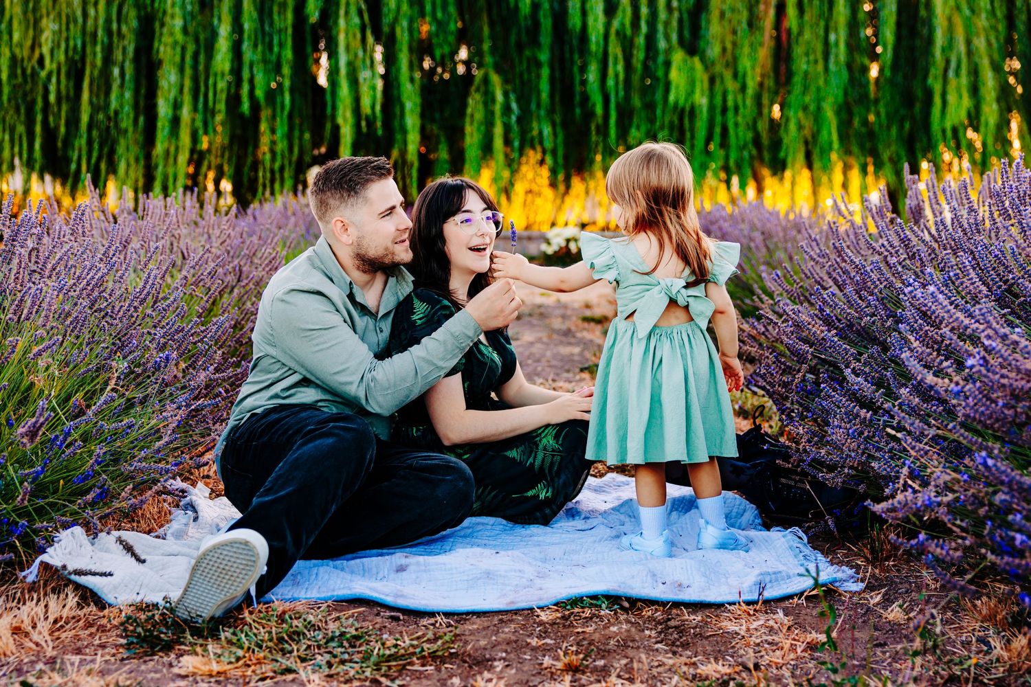 Family enjoying a picnic together among purple lavender flowers with willow trees in the background.