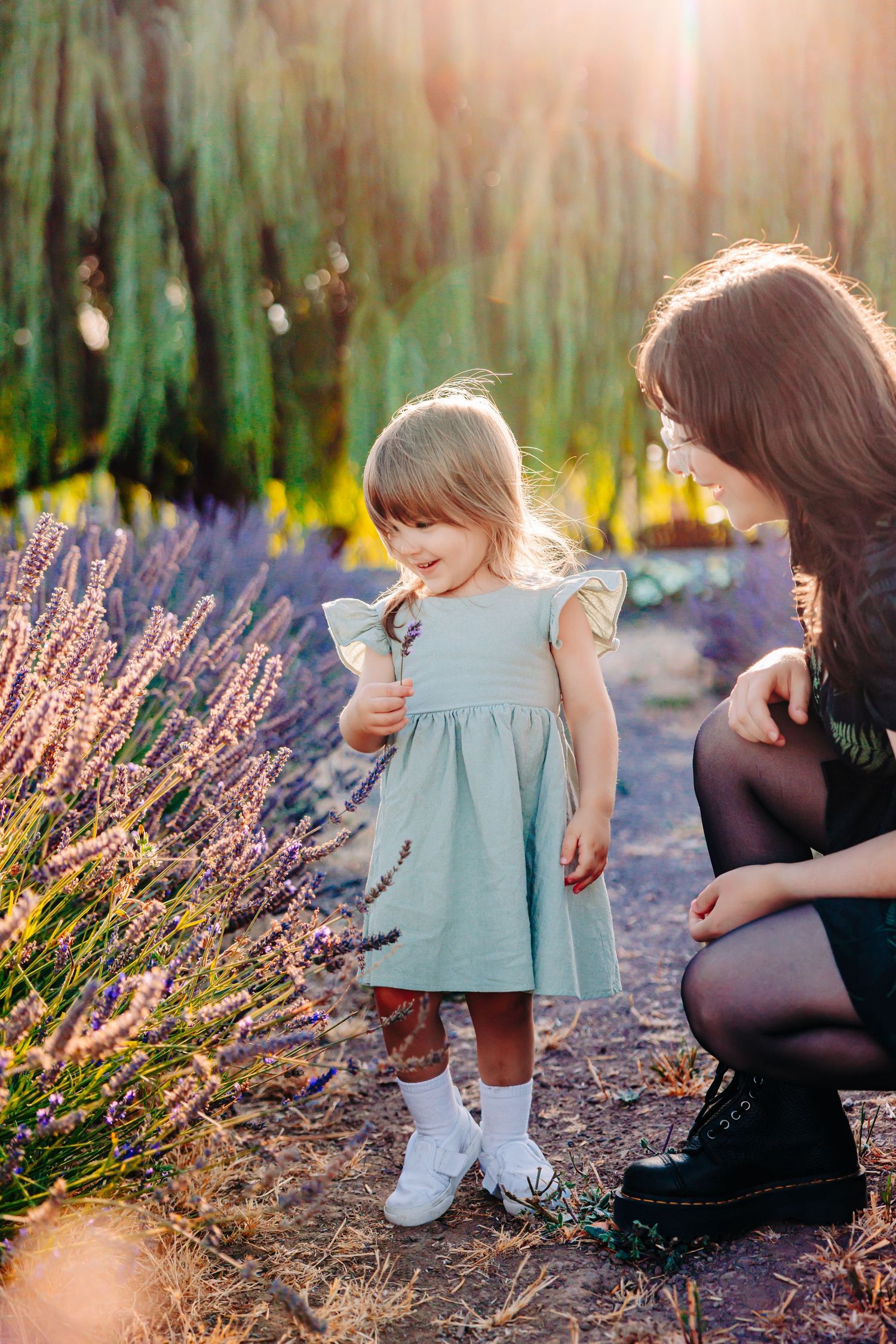 Family enjoying a sunset photoshoot in a lavender field with soft golden light filtering through trees.