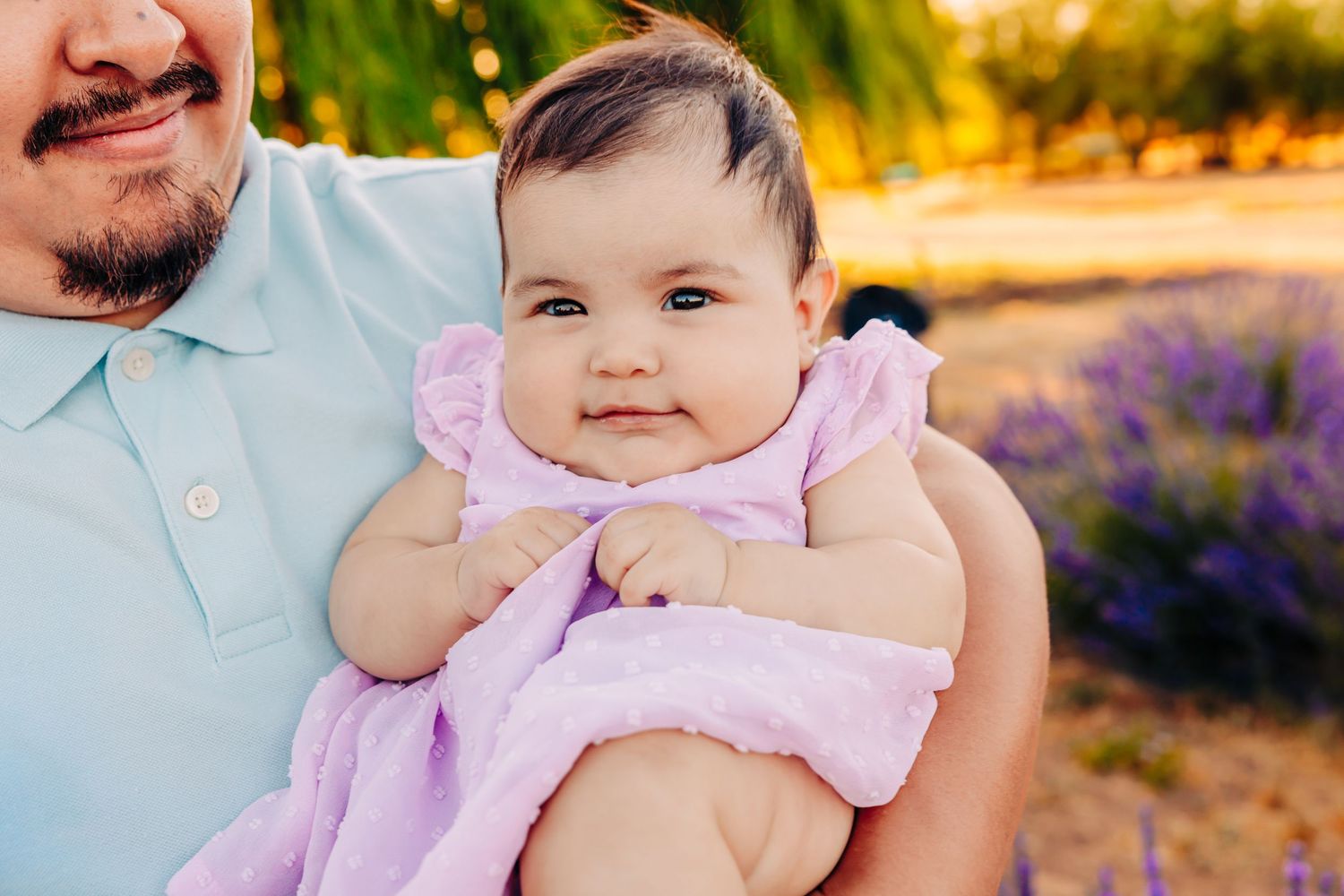 A series of outdoor family portraits in a lavender field during golden hour with a baby wearing a pink dress.