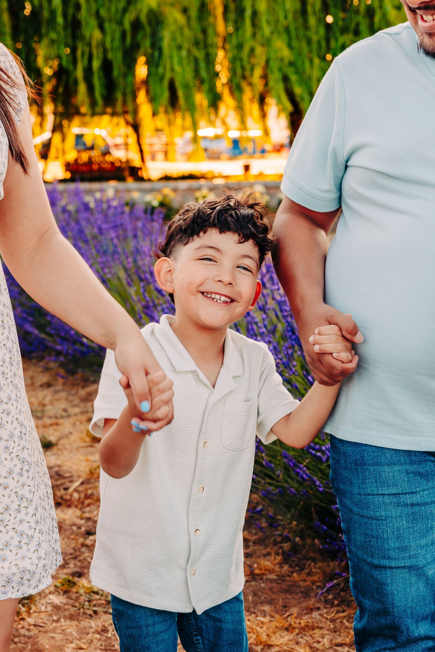 Family holds hands while walking through a blooming lavender field at sunset with warm golden light.