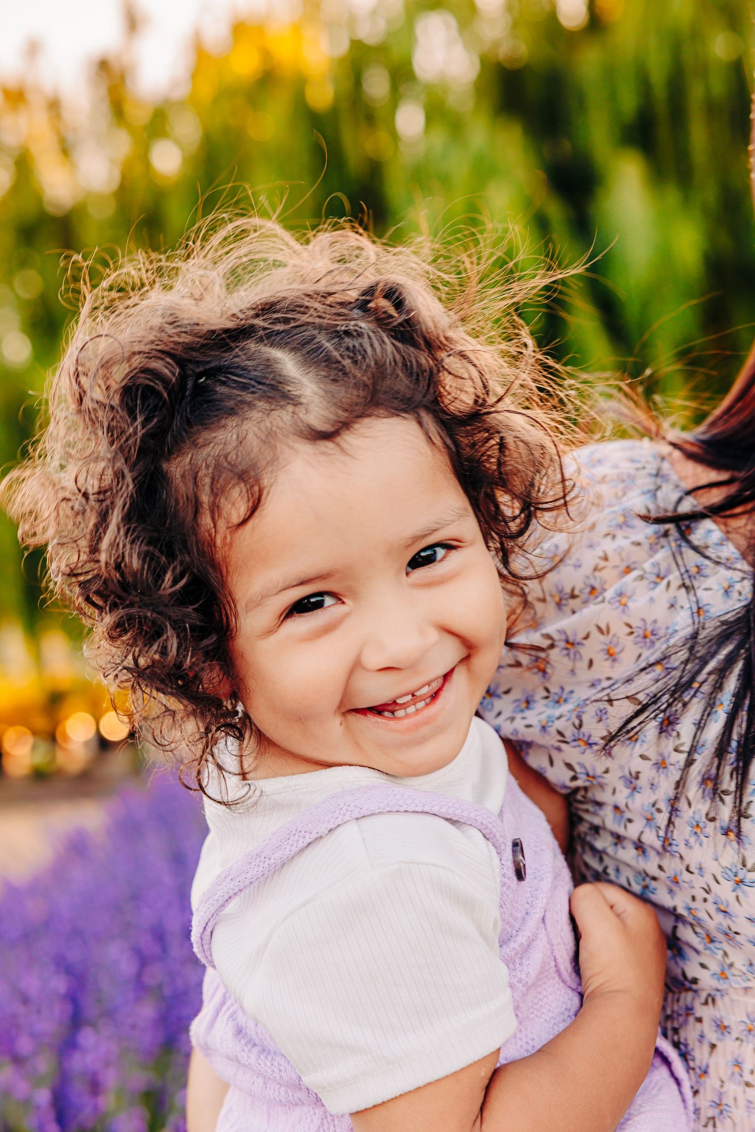 A series of joyful outdoor portrait shots with purple lavender flowers and golden sunset lighting in the background.