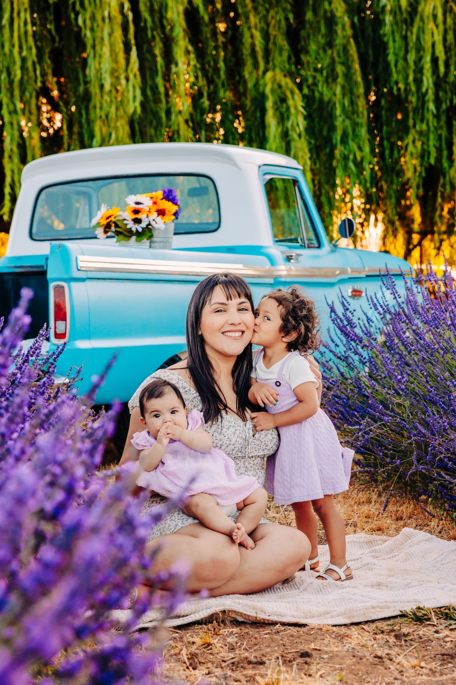 A series of four photos showing a joyful outdoor scene with vintage blue trucks, lavender fields and weeping willow trees.