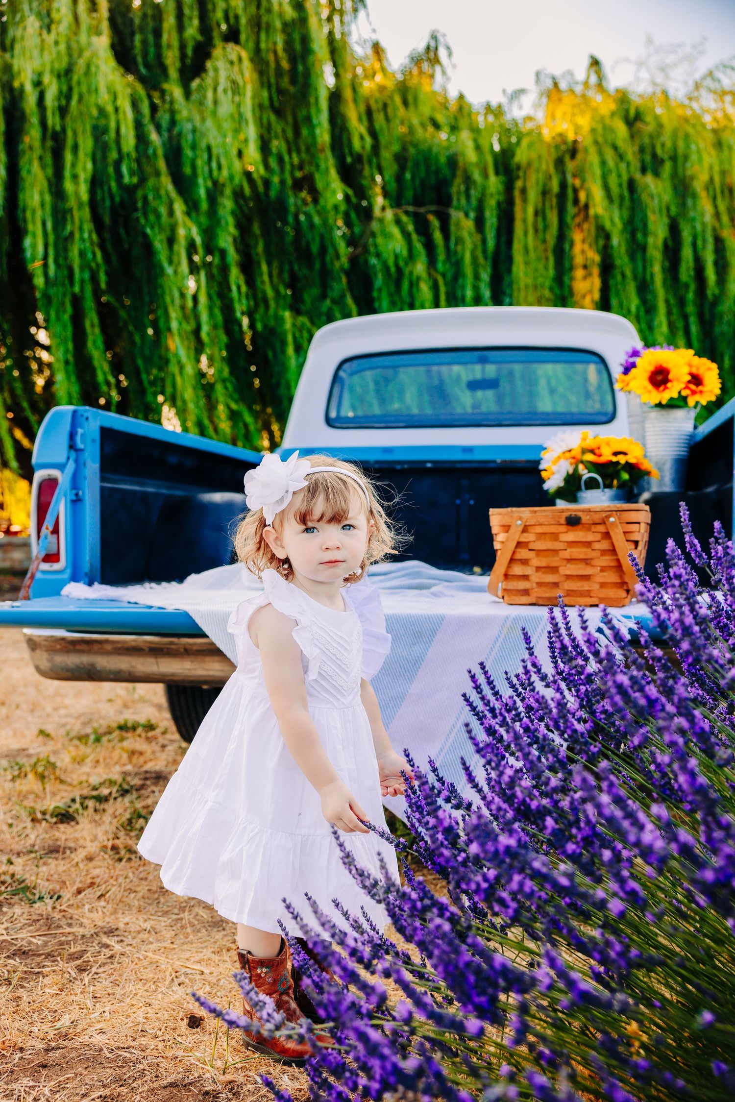 A series of photos showing a white dress against vibrant purple lavender flowers and weeping willow trees in the background.