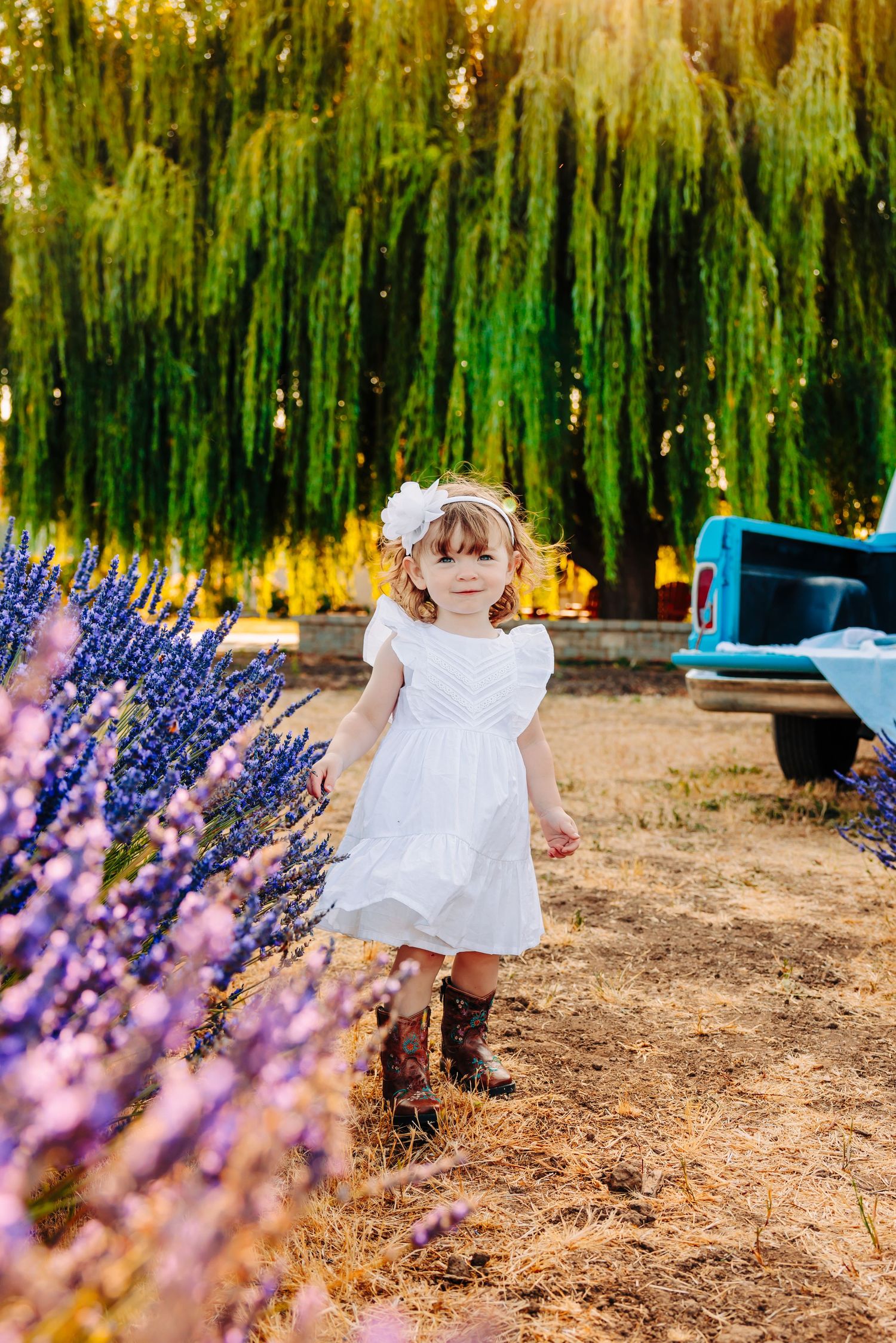 A figure in a white dress dances through a field with purple lavender and weeping willows in the background.
