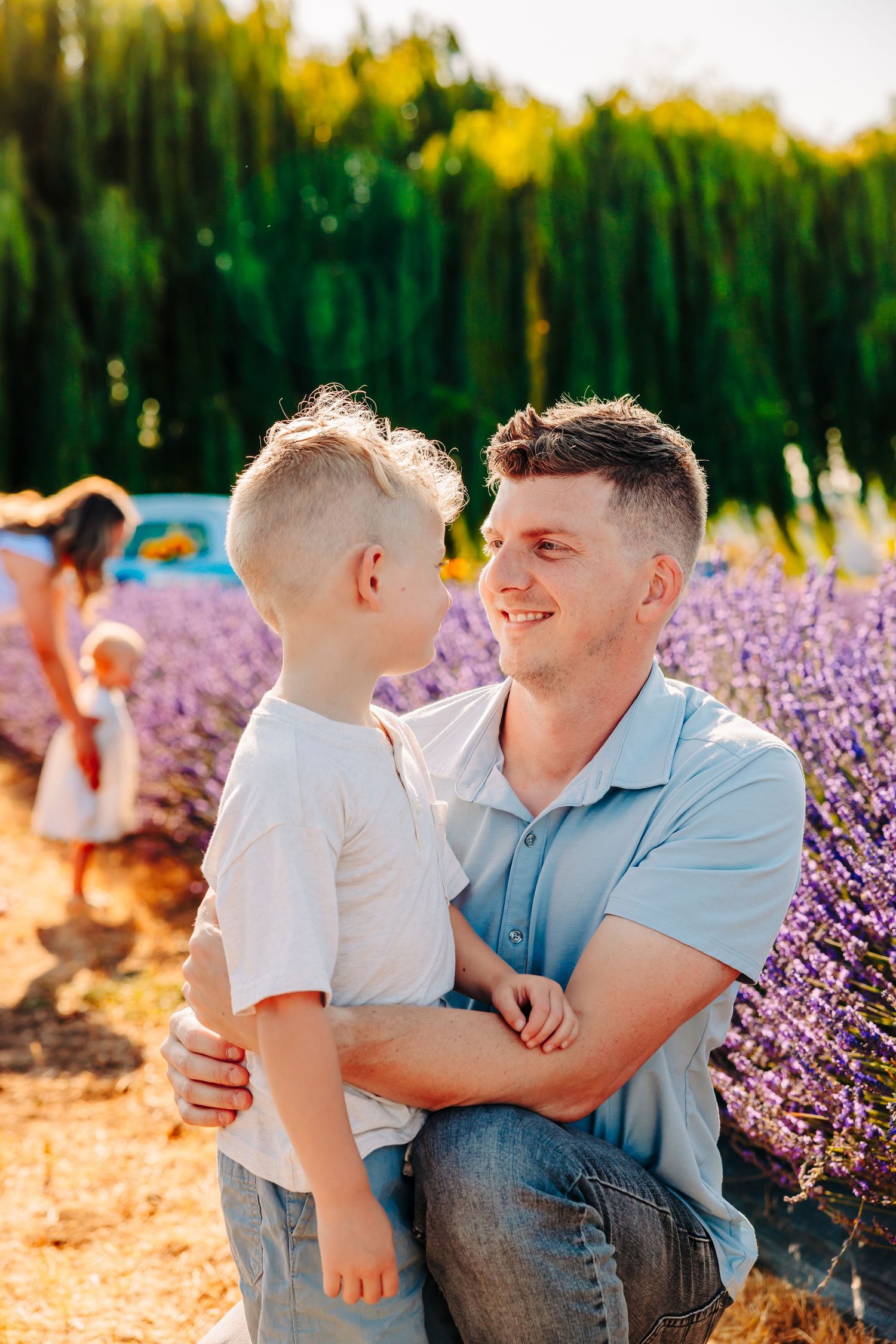 Two people share a tender moment in a blooming lavender field during golden hour with evergreen trees in background.