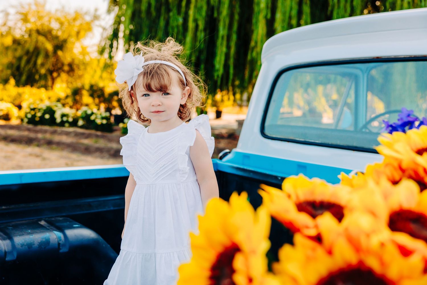 A series of photos showing a white dress against vibrant yellow sunflowers and a vintage blue truck in a rustic setting.