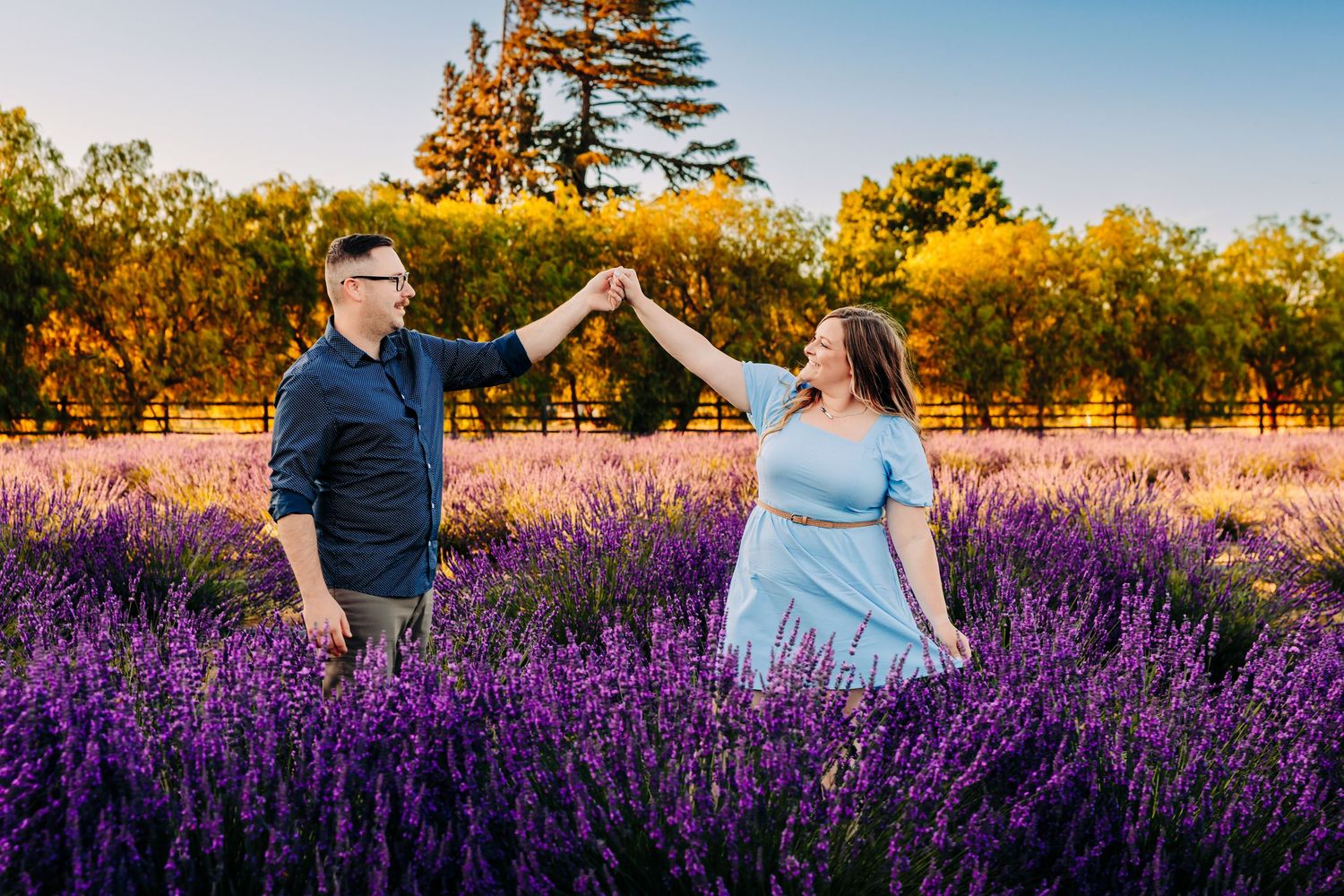 A couple walks through vibrant purple lavender fields at sunset creating a romantic summer scene.