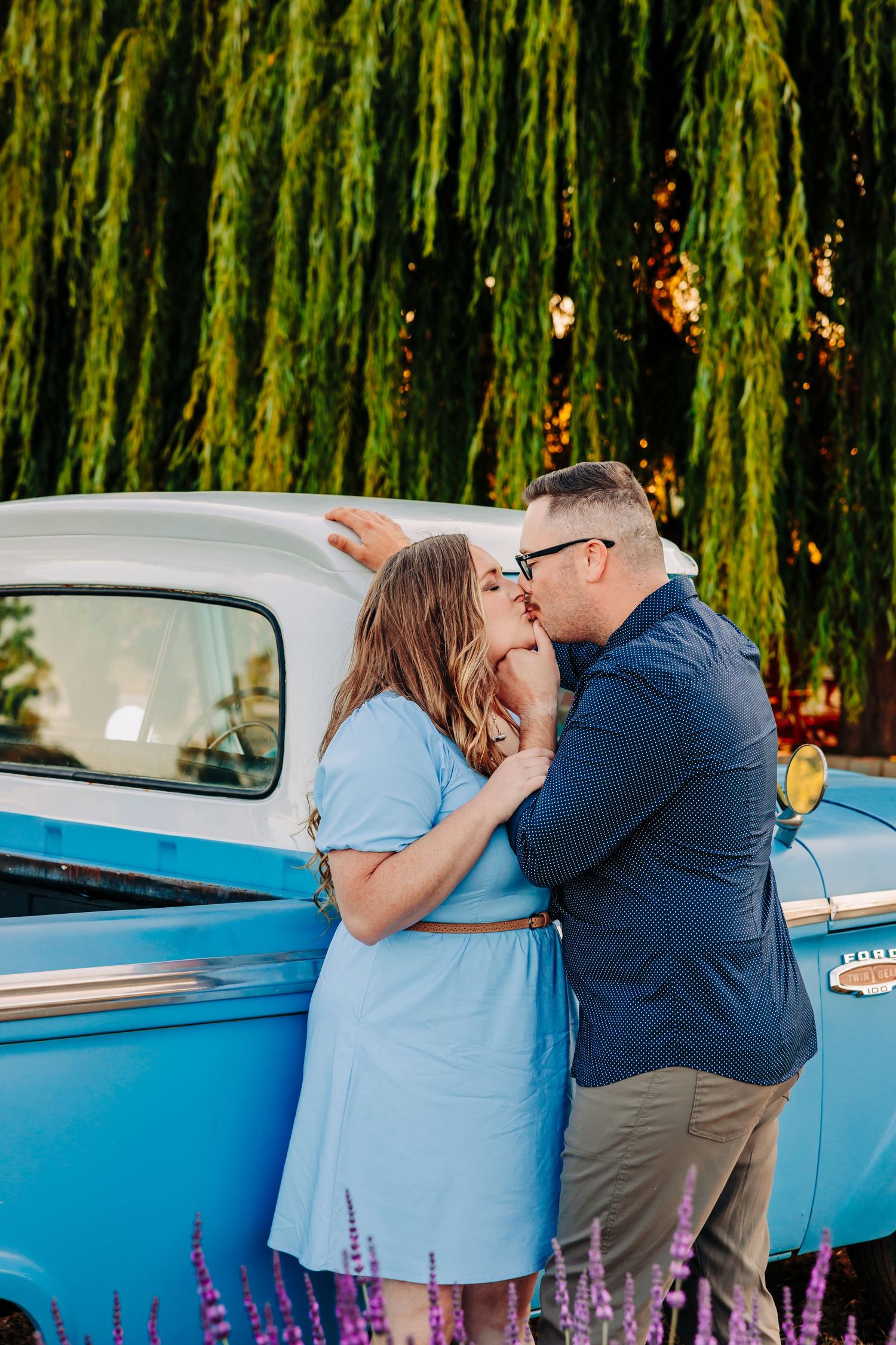 A classic blue vintage truck parked beside blooming purple lavender fields under drooping willow trees.