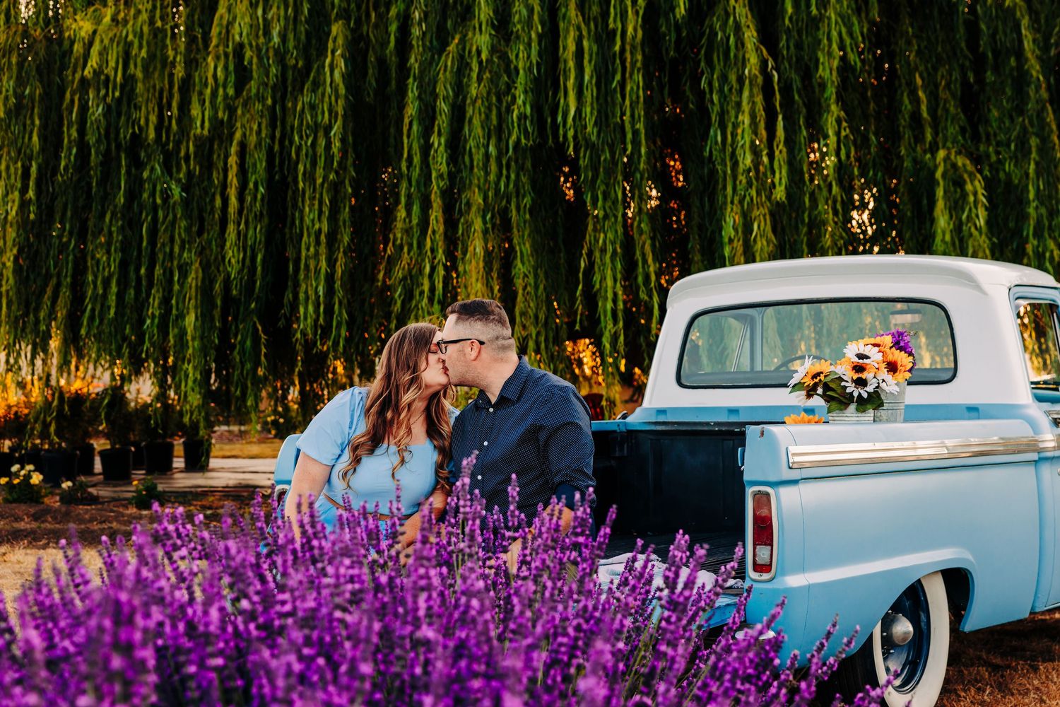 Couple sitting by vintage blue pickup truck with vibrant purple lavender flowers in foreground and willow trees behind.