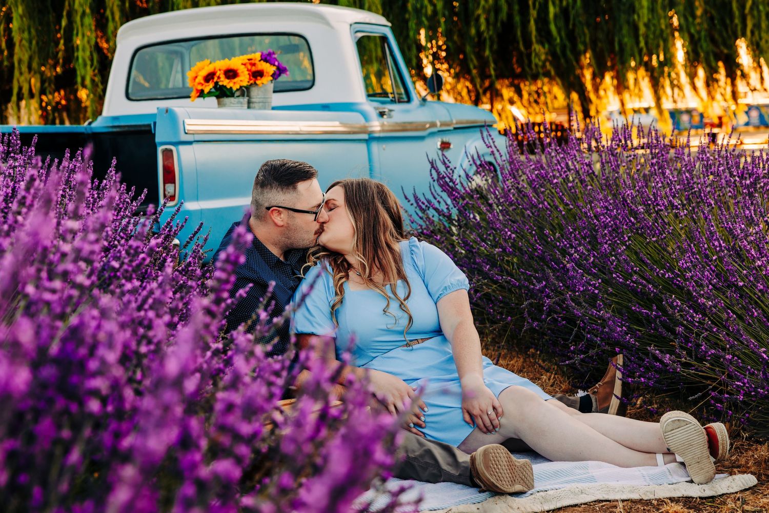 A vintage blue pickup truck parked in a vibrant purple lavender field at golden hour.