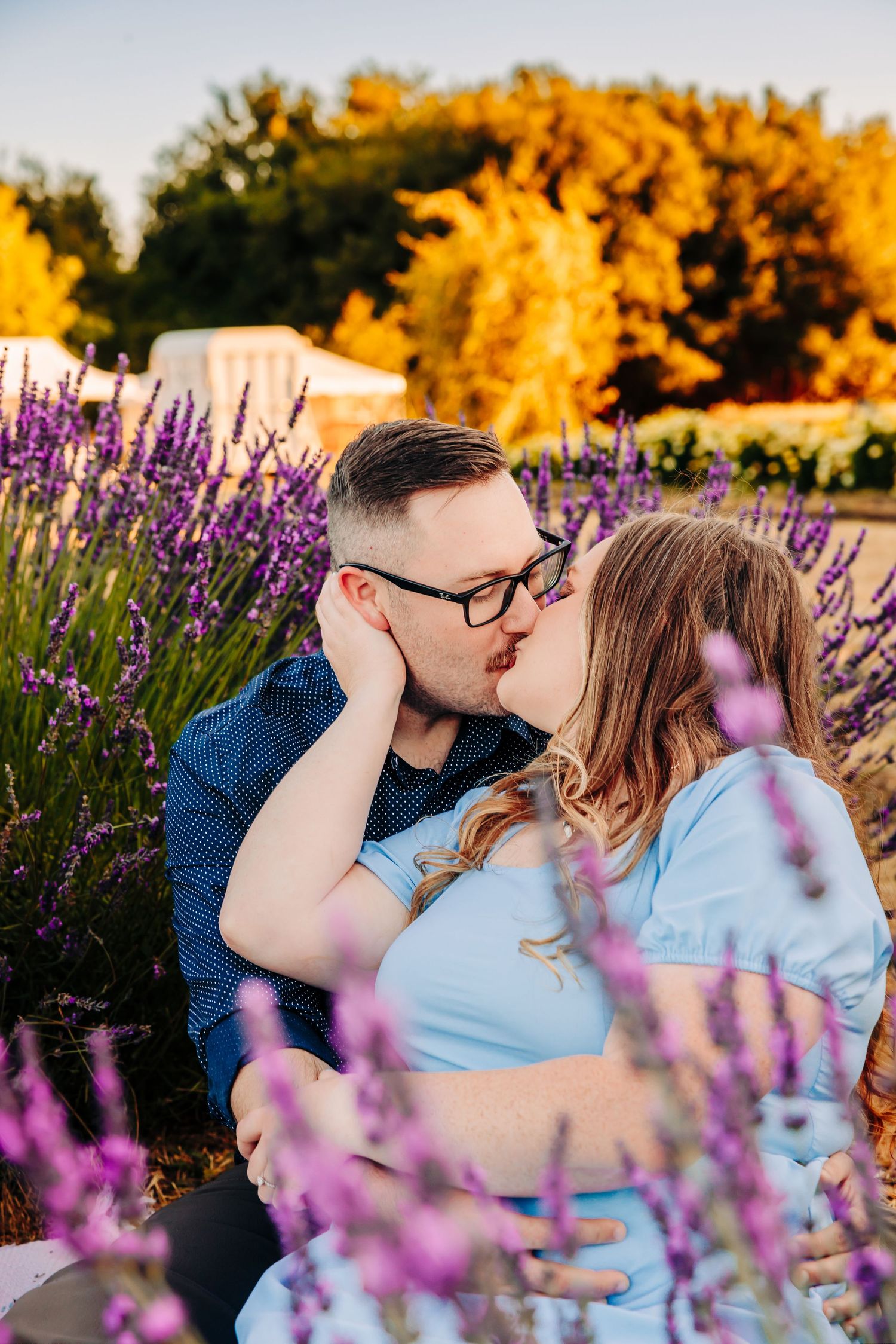 A romantic couple shares a kiss among blooming purple lavender flowers at golden hour sunset.