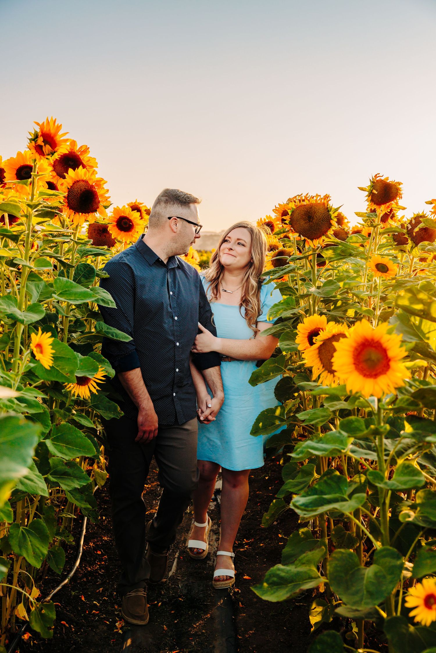 A romantic couple shares a tender moment among tall blooming sunflowers during golden hour.