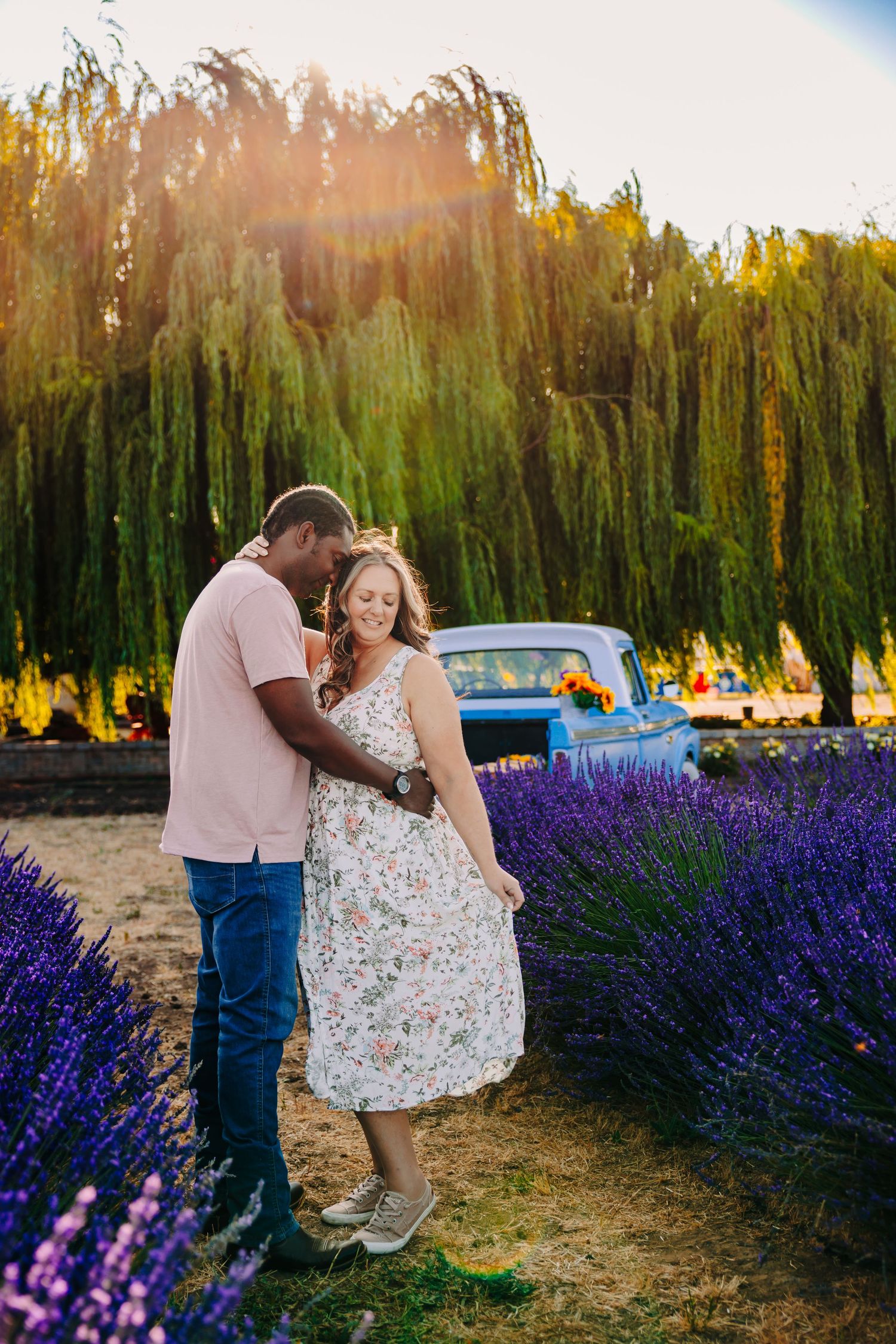 A couple shares romantic moments in a blooming lavender field at sunset, captured in a series of candid photos.