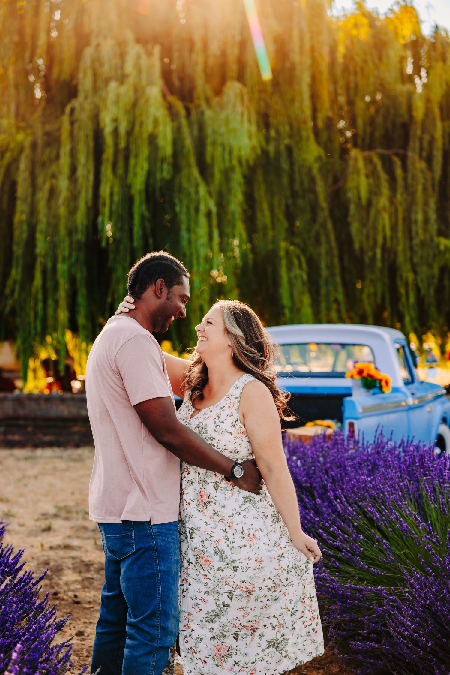 A romantic couple shares an intimate moment among vibrant purple lavender fields at sunset with a classic blue car in background.