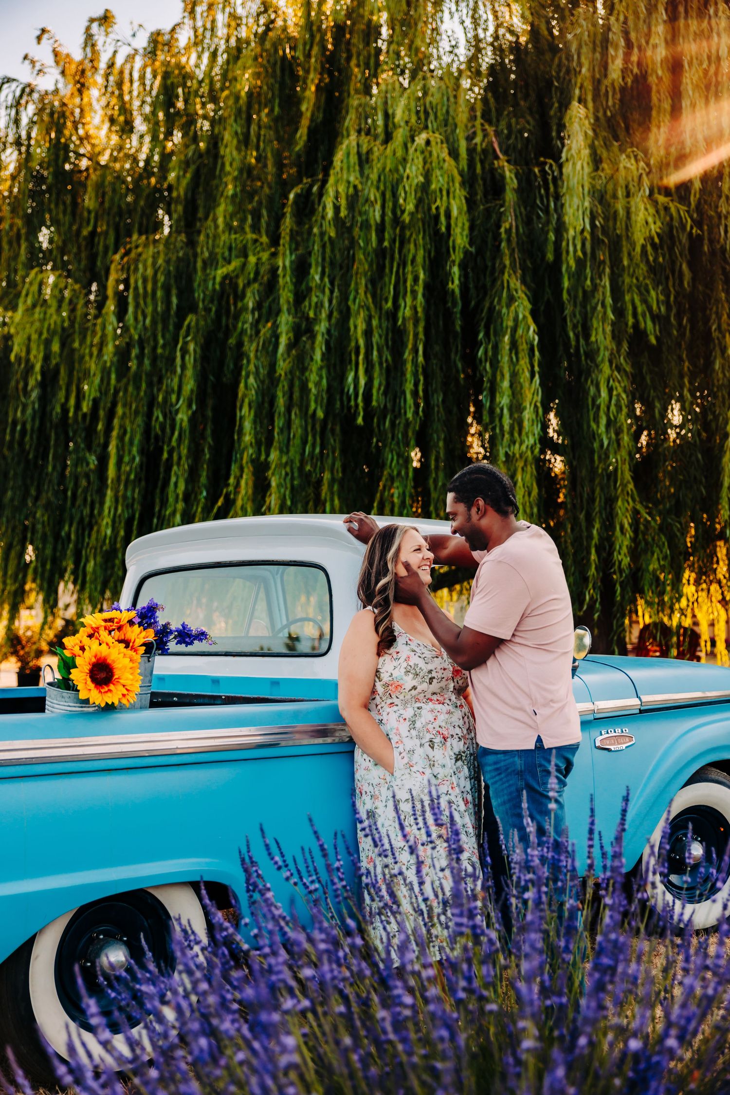 Romantic couple poses with vintage turquoise truck in front of weeping willow trees and lavender field at sunset.