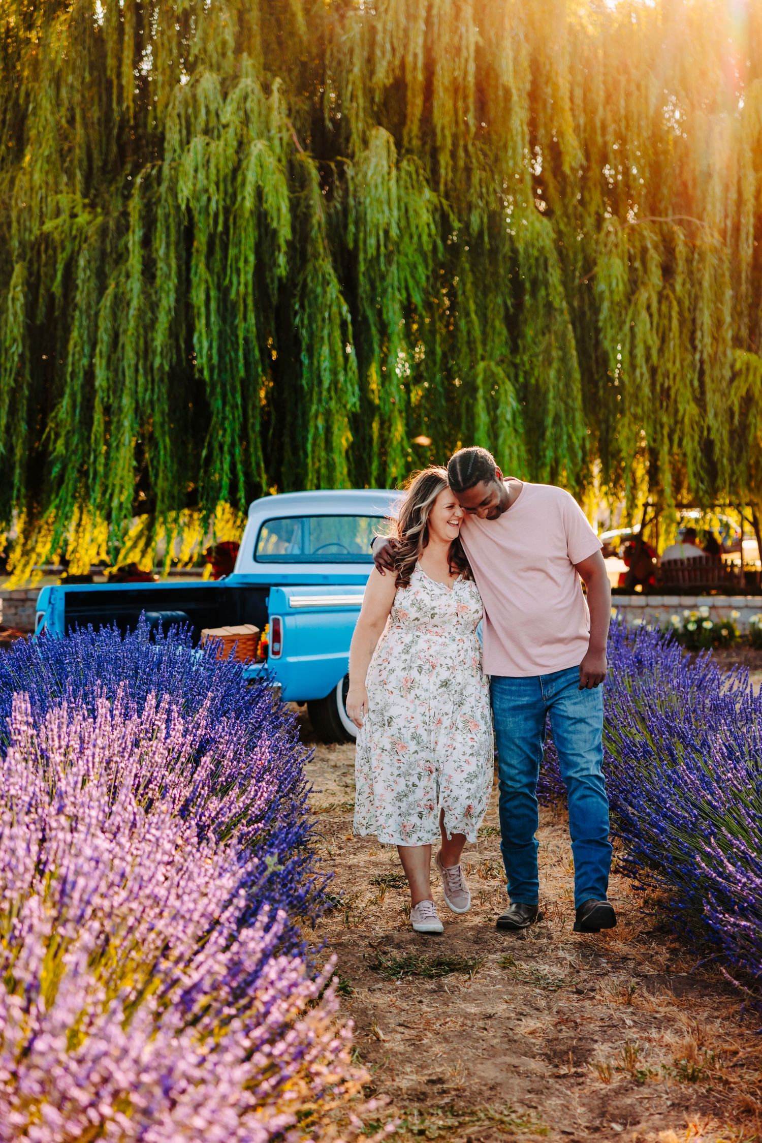 A couple embraces in a golden-lit garden with blooming lavender and a vintage blue car visible in the distance.