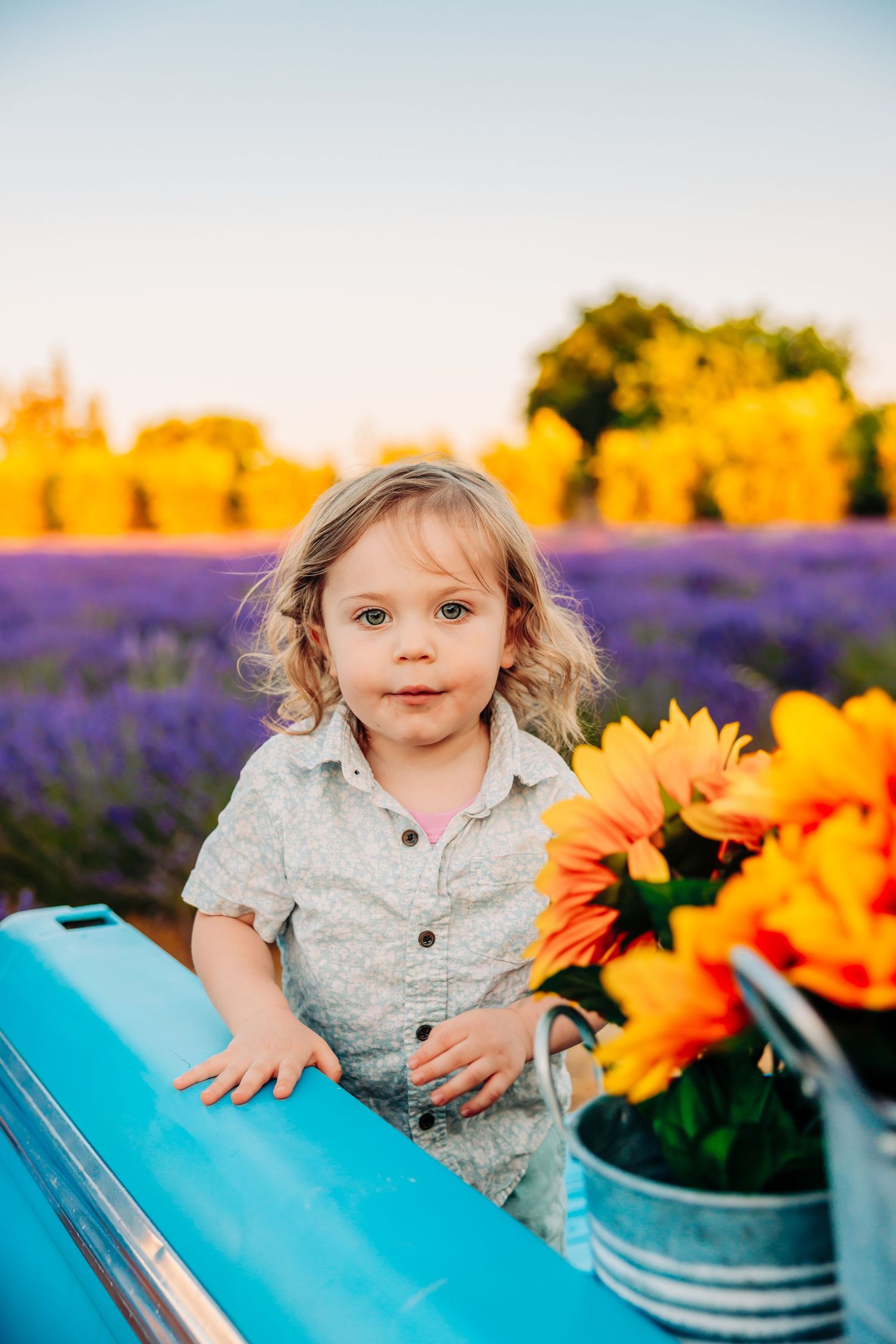 Child in gray shirt poses with bright sunflowers and purple flowers against a blue surface during golden hour.