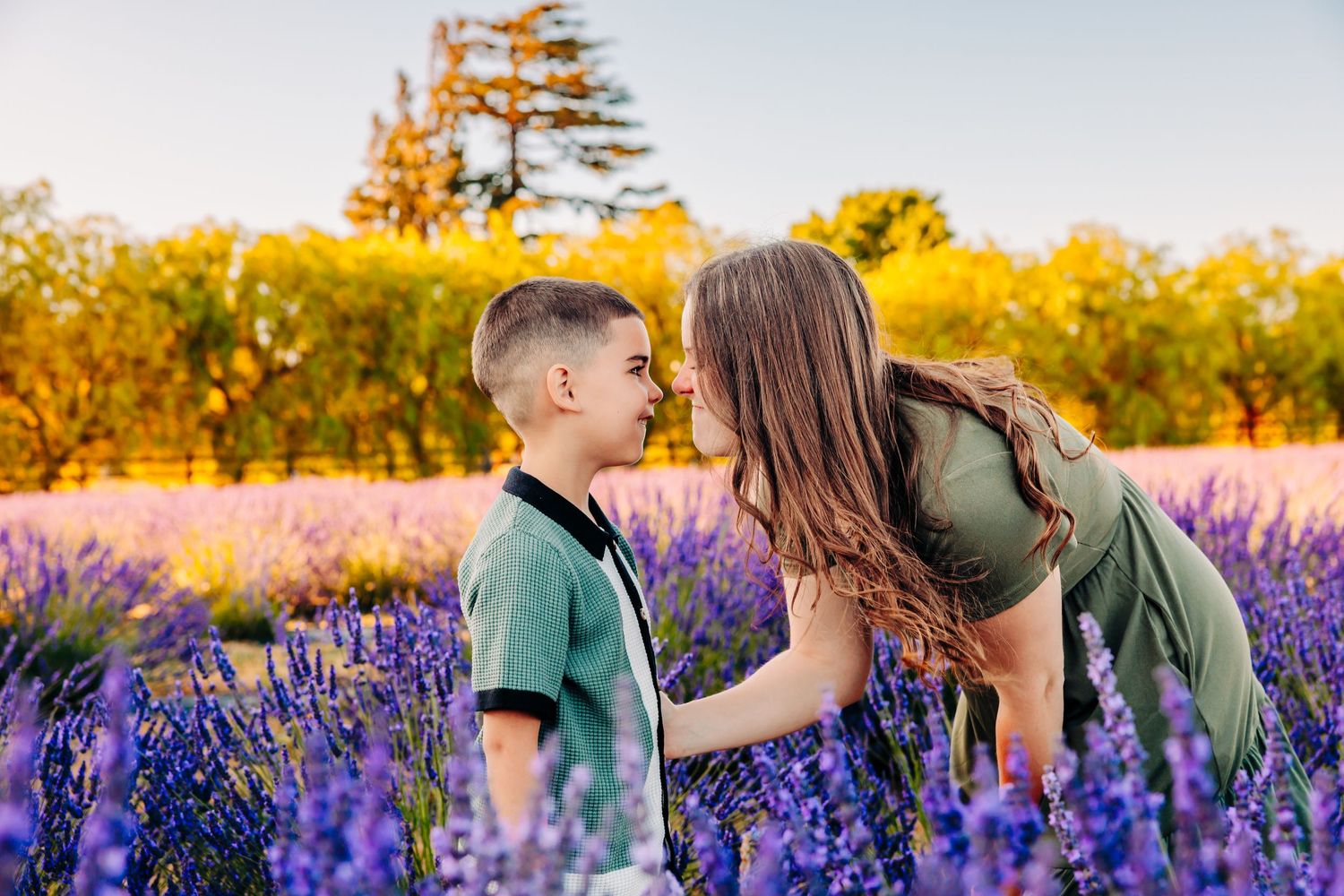Romantic couple embraces in a vibrant field of purple lupine flowers during golden sunset.