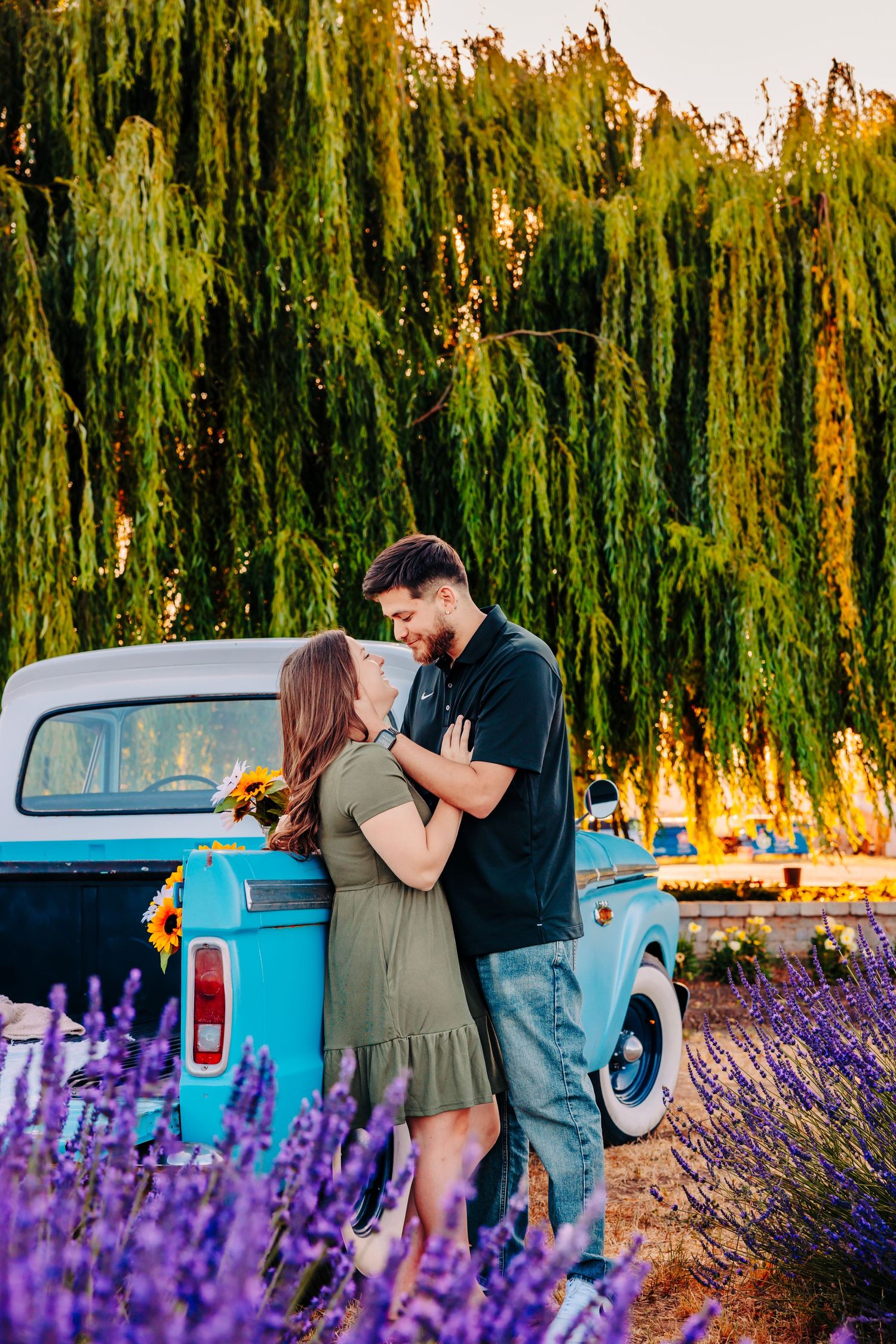 A couple embraces by a vintage blue truck in a blooming lavender field with a weeping willow tree at sunset.